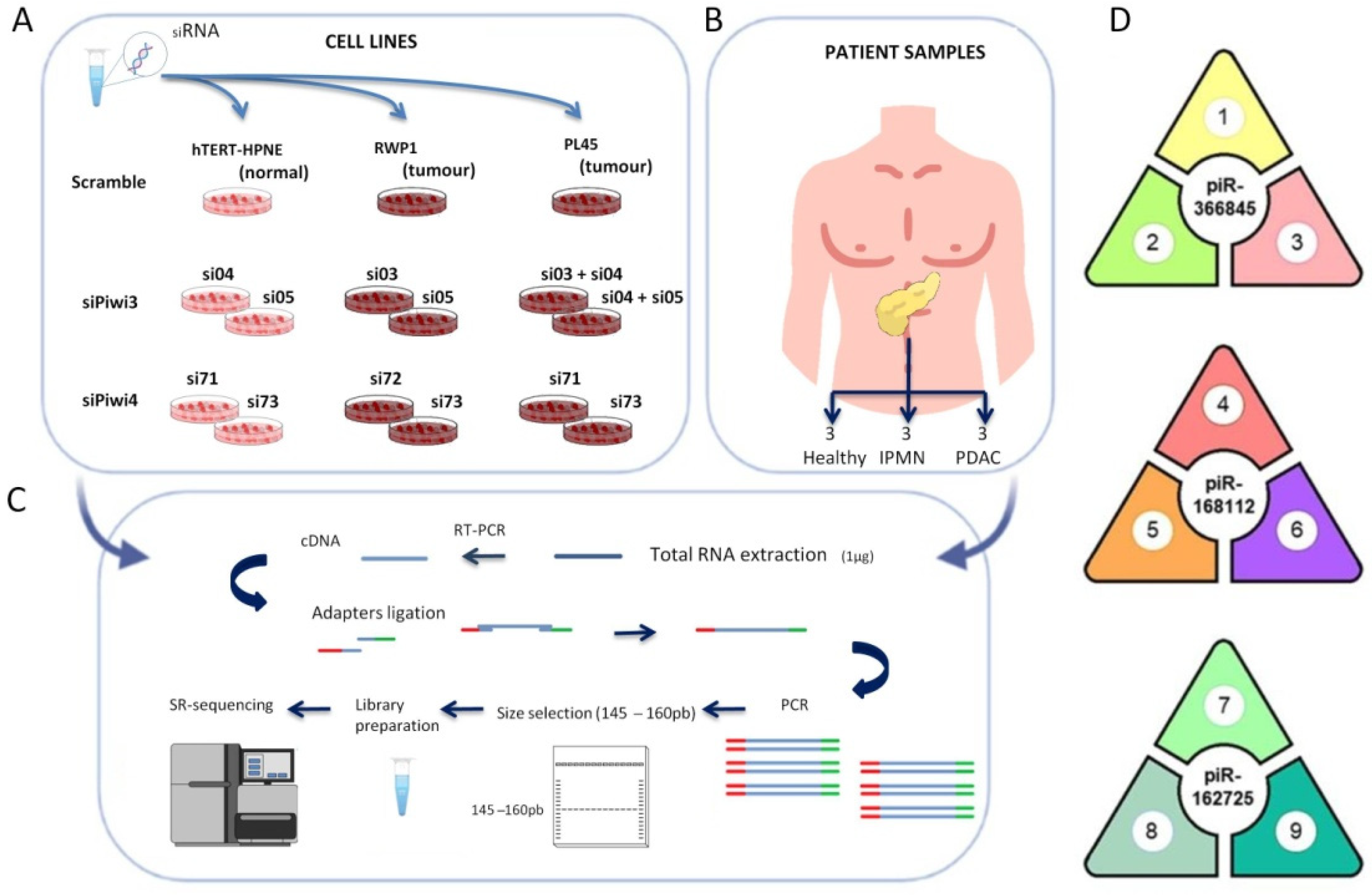 Jcm 11 07310 g001 Jcm 11 07310 g001
