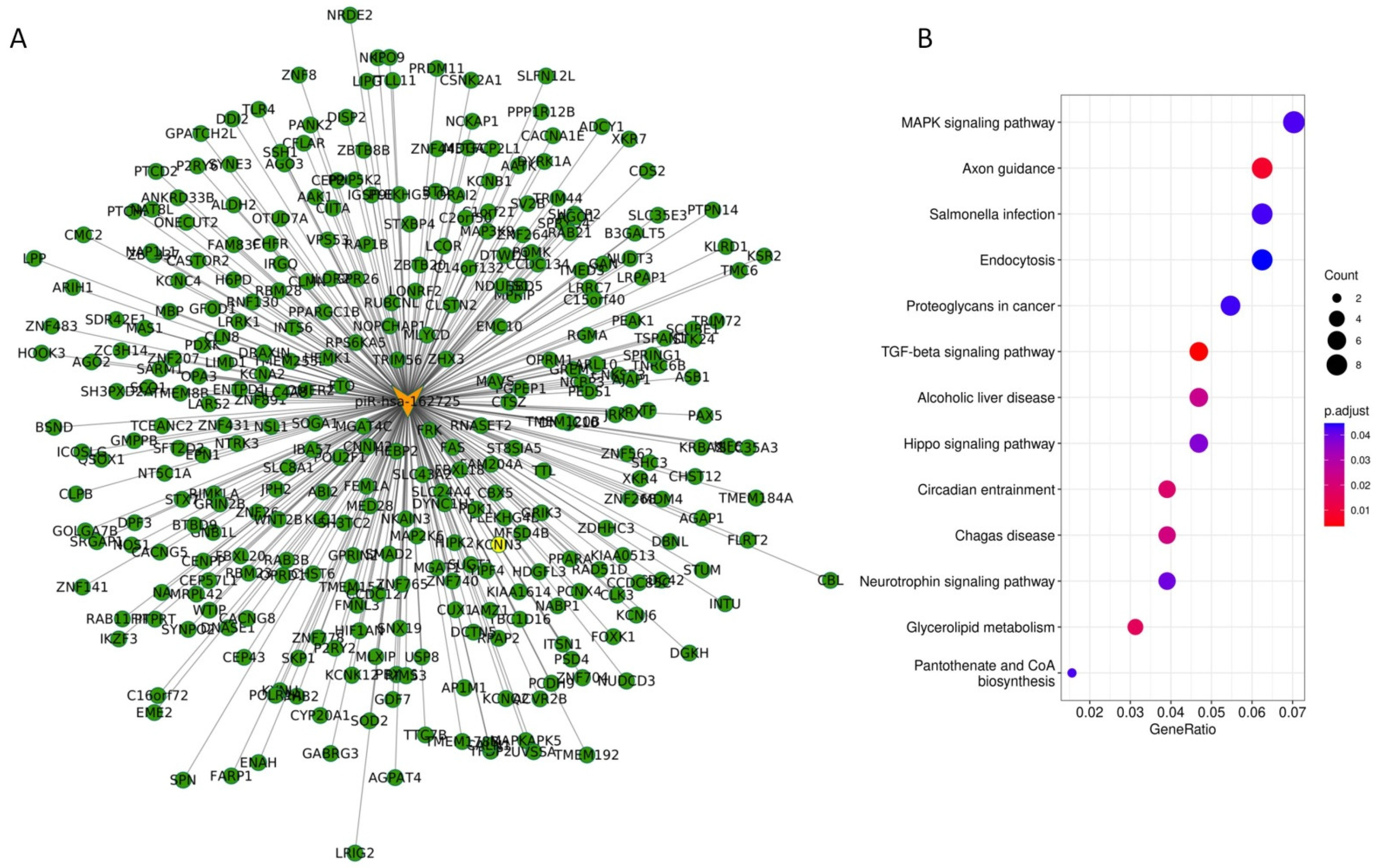 Jcm 11 07310 g006 Jcm 11 07310 g006