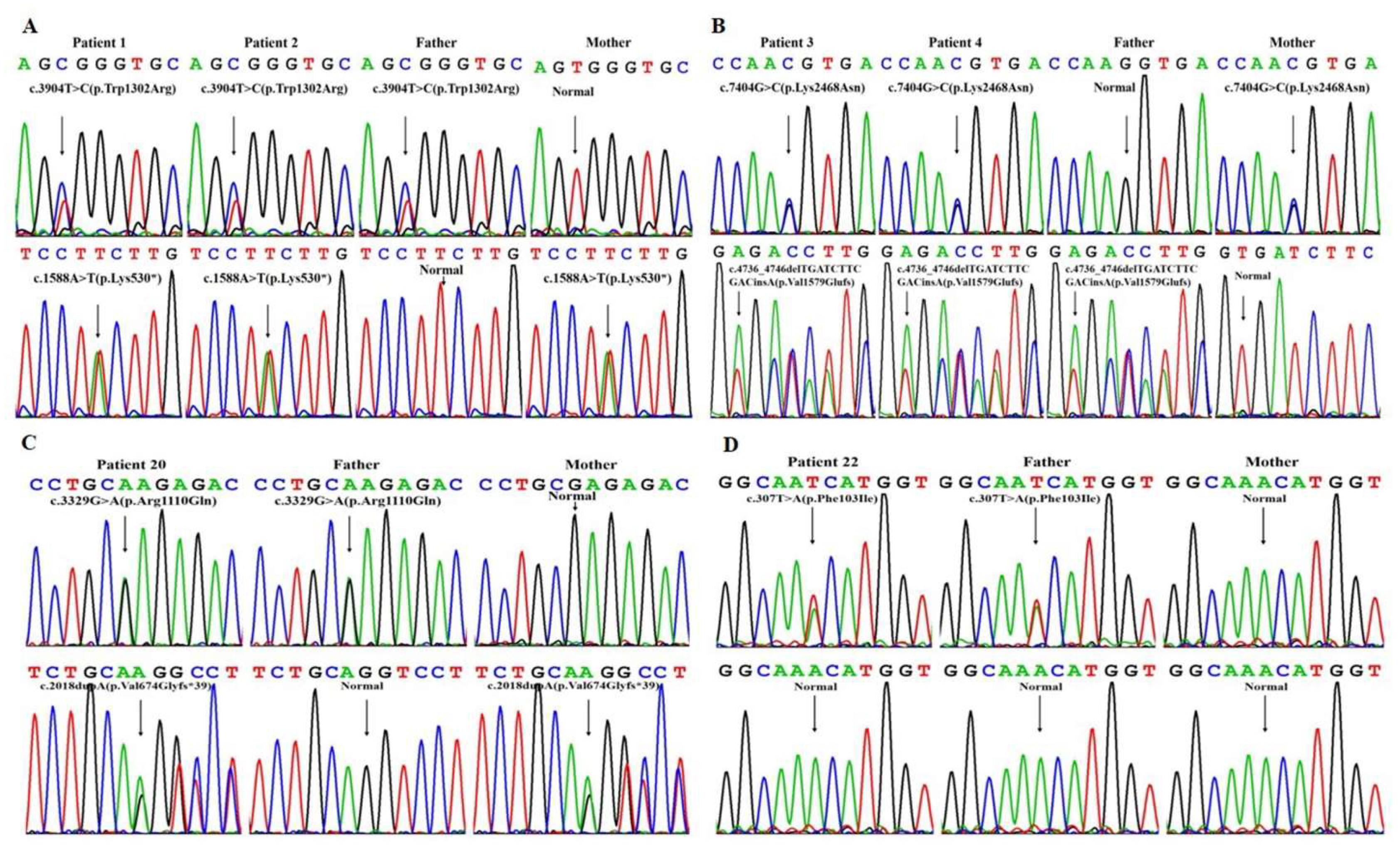 Jcm 11 07313 g002 Jcm 11 07313 g002