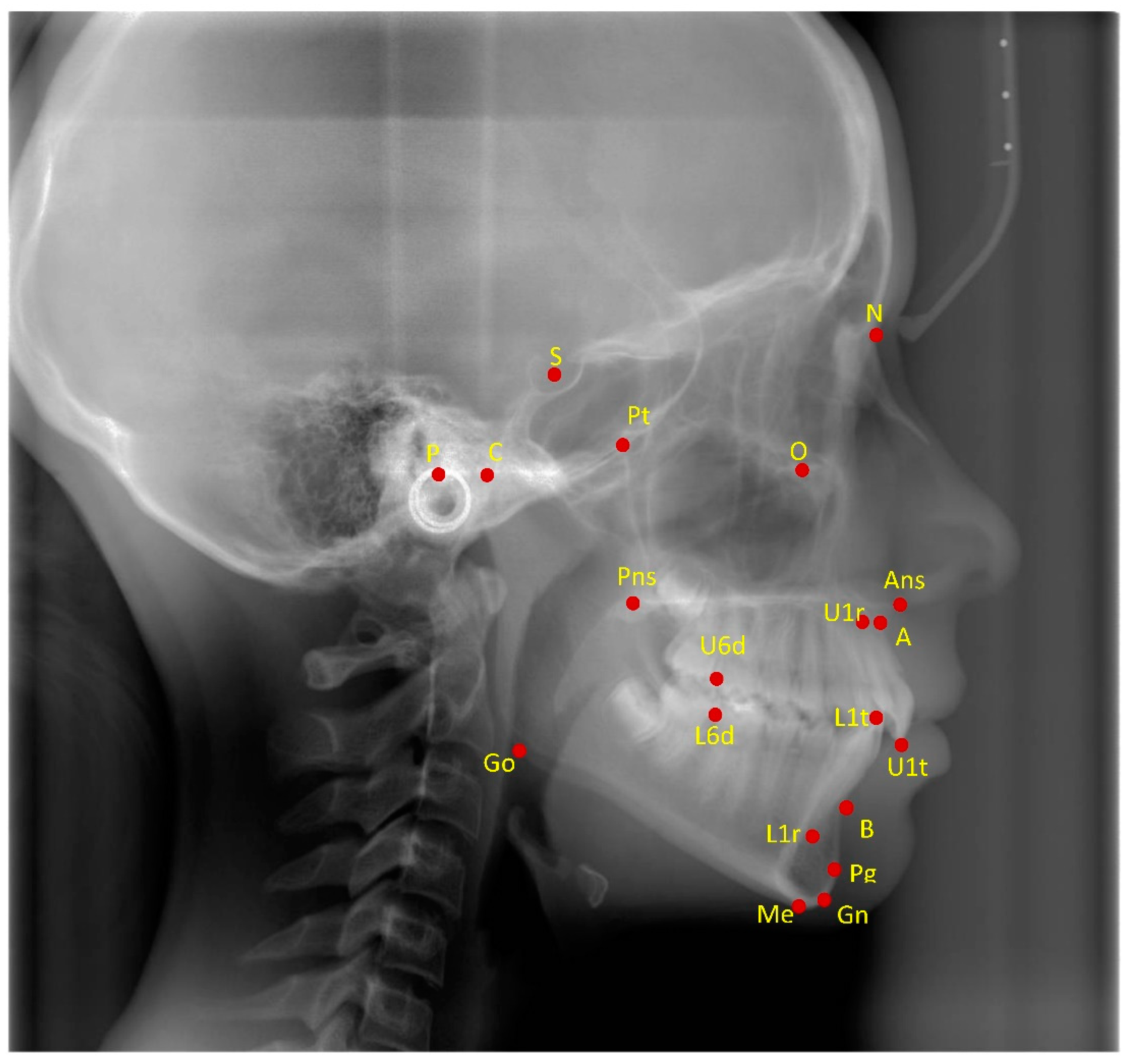 Jcm 11 07333 g001 Jcm 11 07333 g001