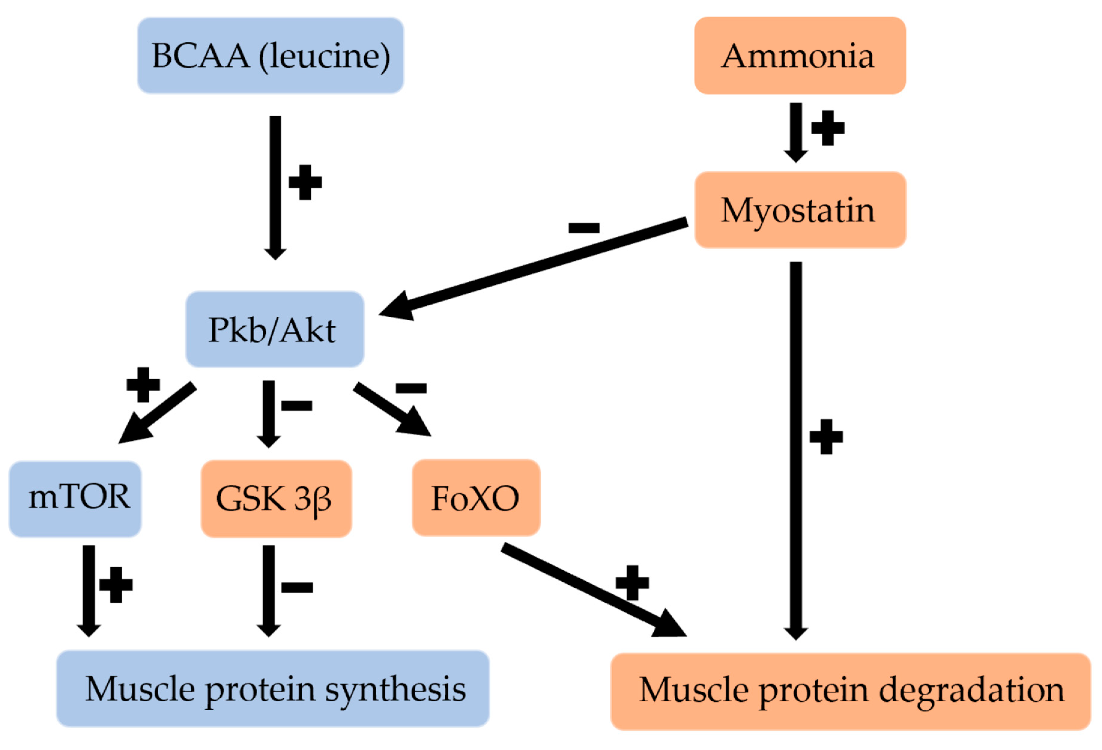 Jcm 11 07337 g002 Jcm 11 07337 g002