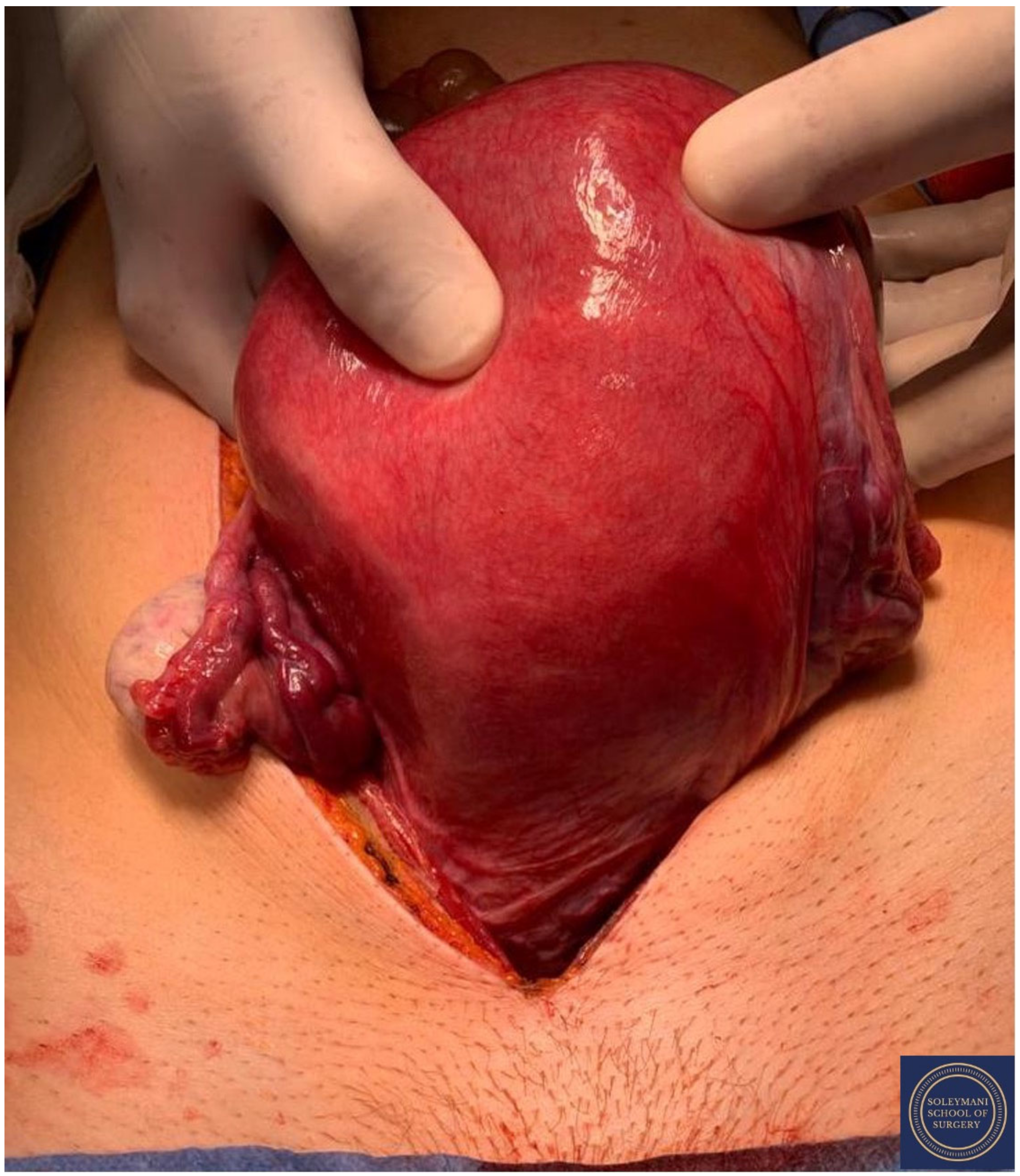 Jcm 11 07352 g004 Jcm 11 07352 g004