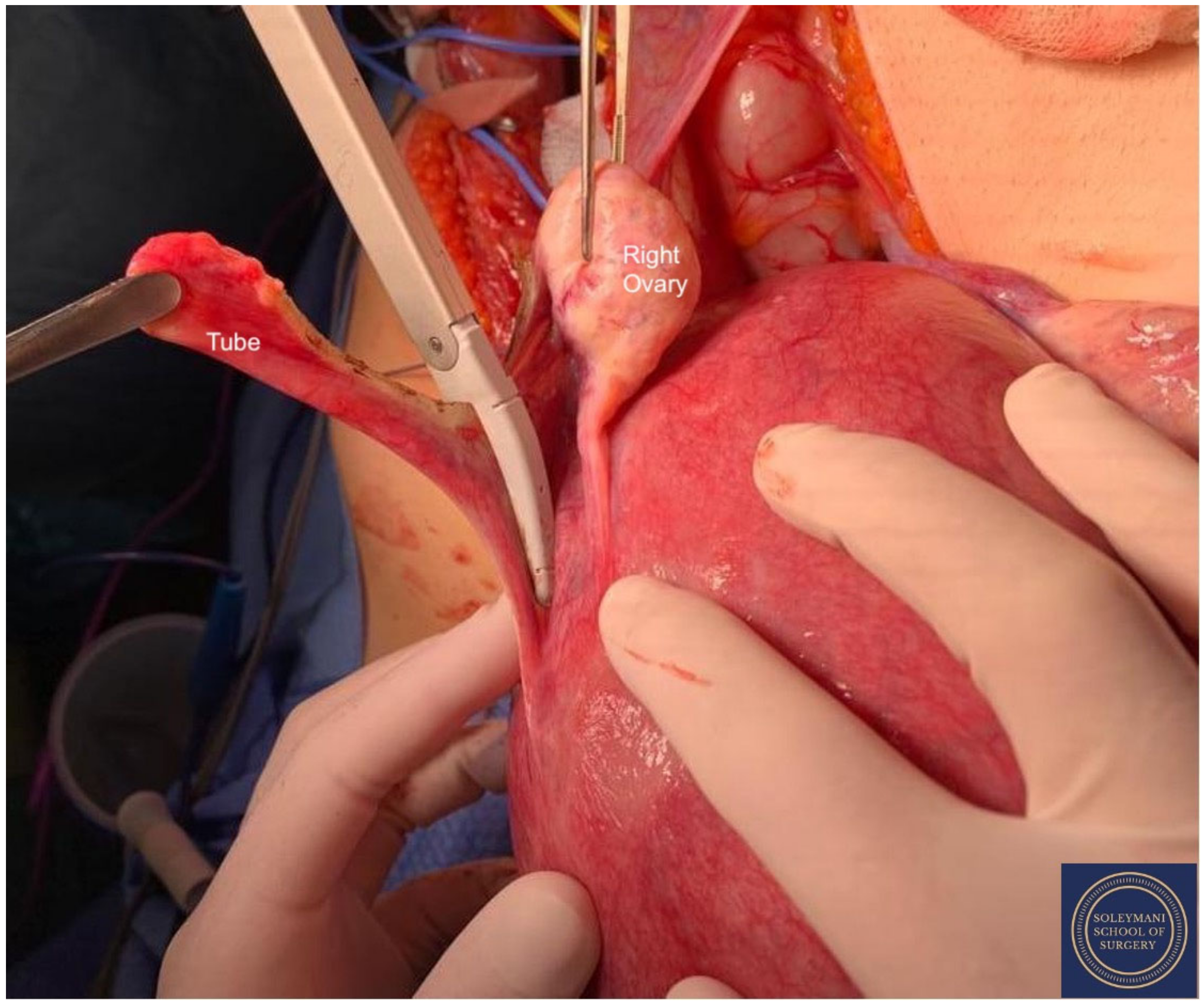 Jcm 11 07352 g005 Jcm 11 07352 g005