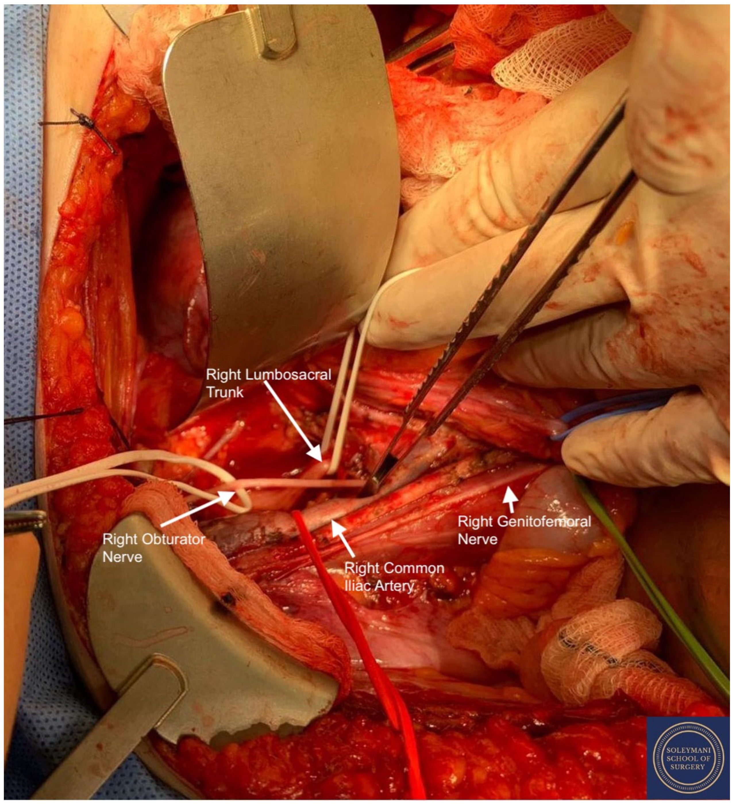 Jcm 11 07352 g007 Jcm 11 07352 g007