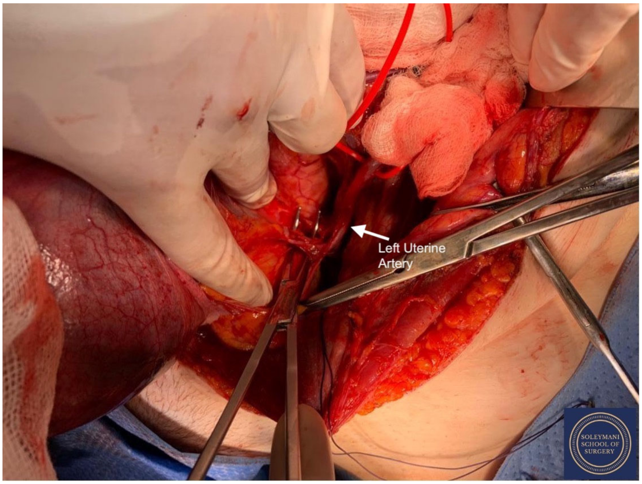 Jcm 11 07352 g010 Jcm 11 07352 g010