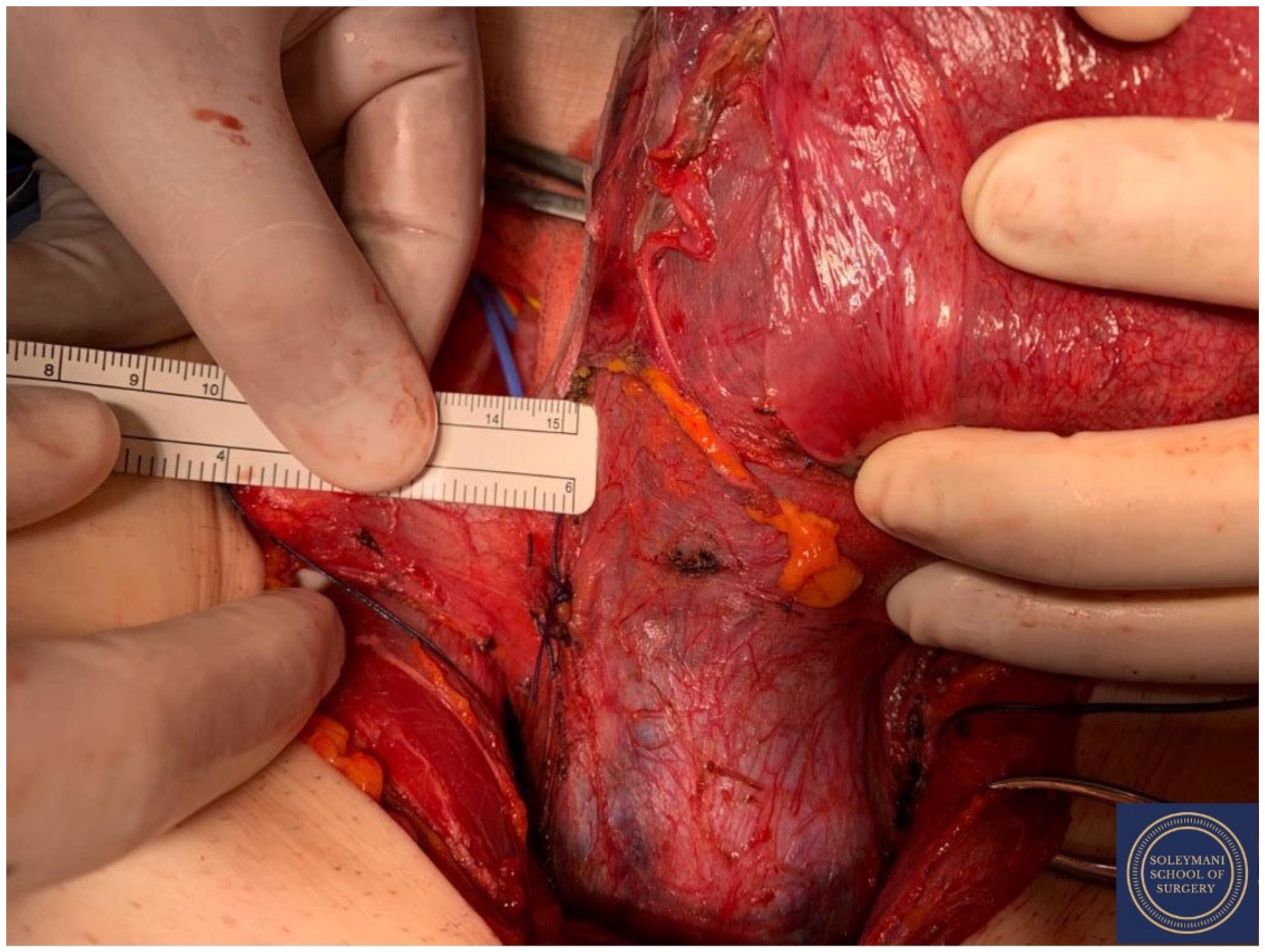 Jcm 11 07352 g012 Jcm 11 07352 g012