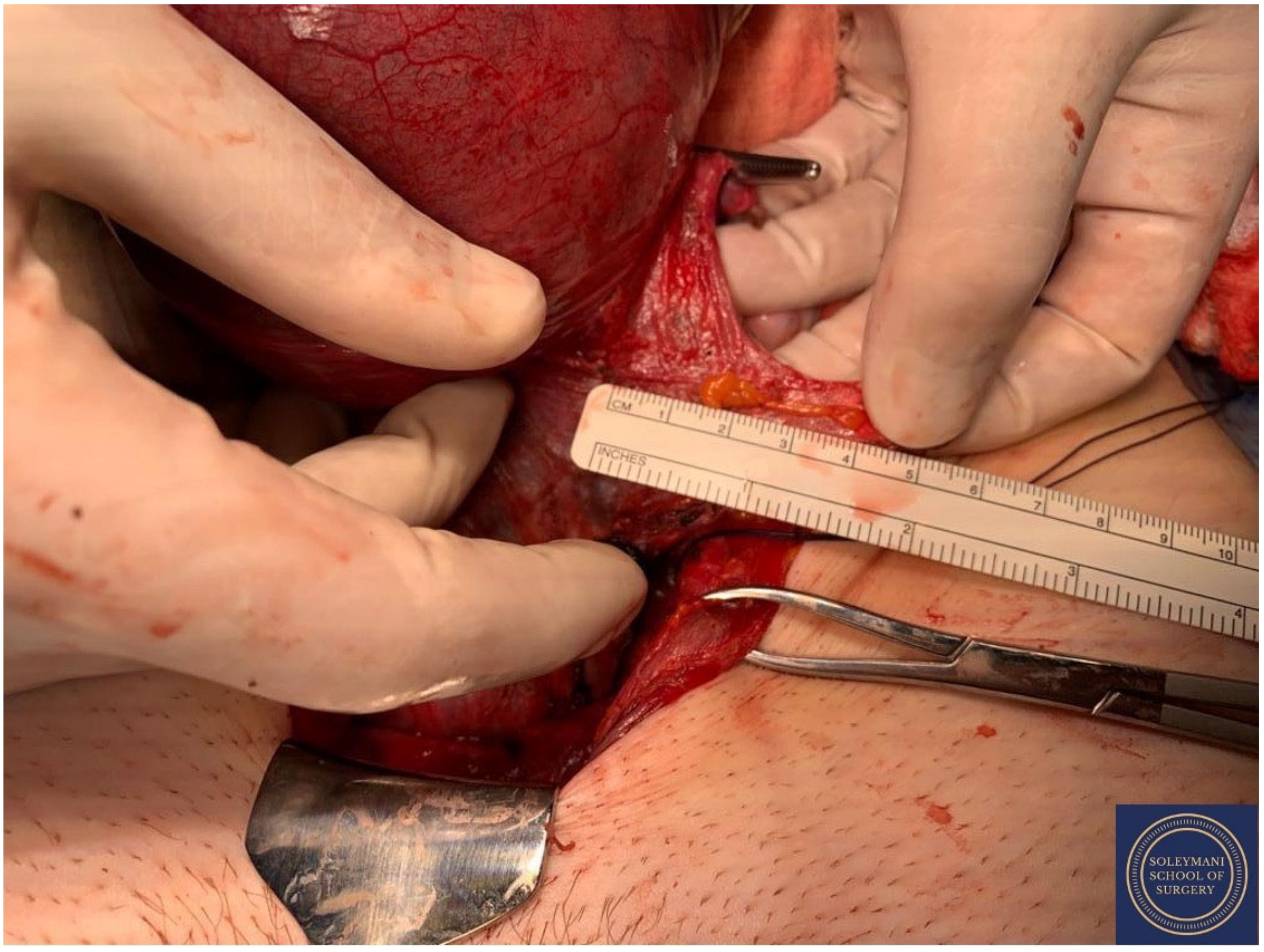 Jcm 11 07352 g013 Jcm 11 07352 g013