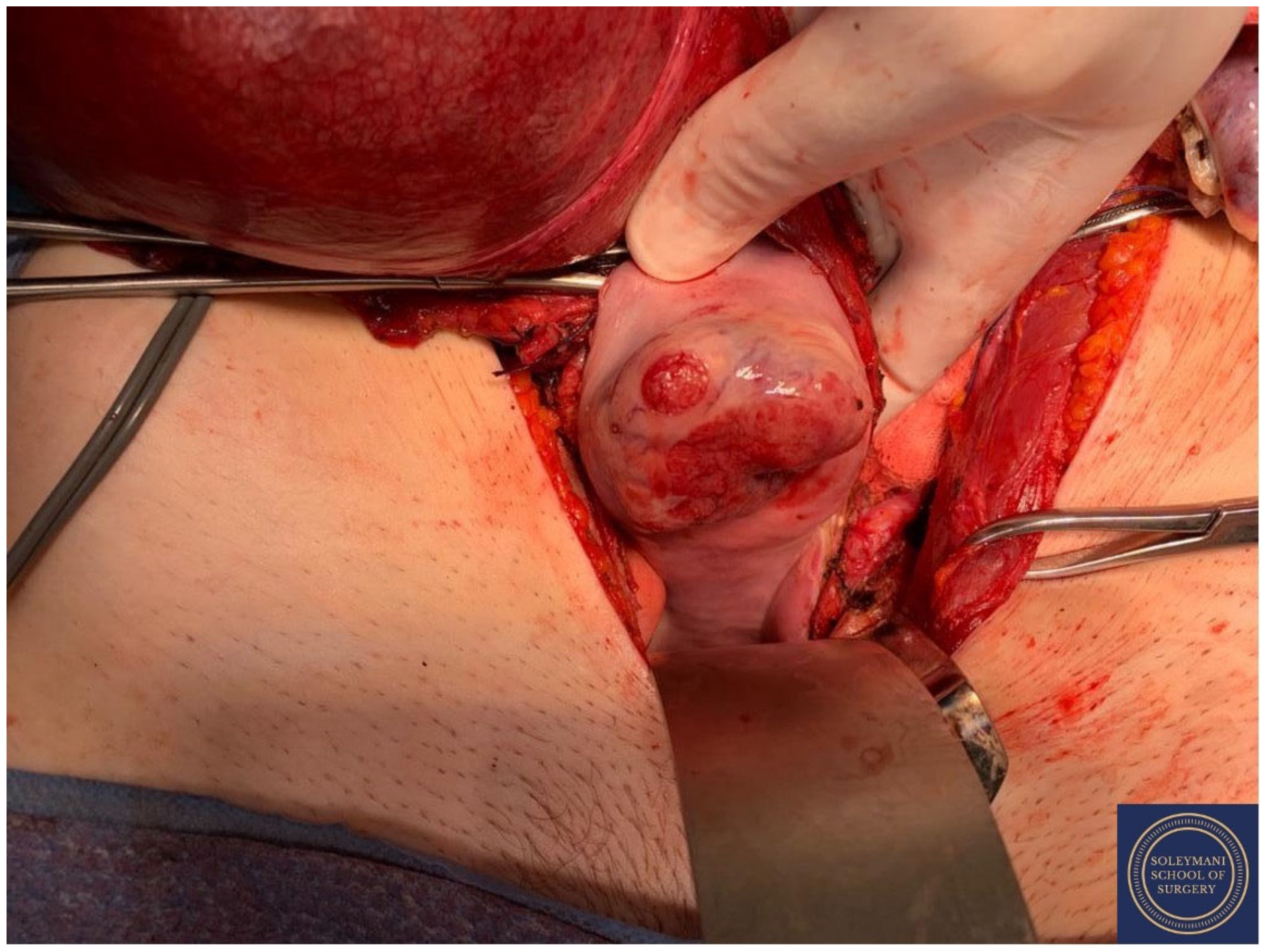 Jcm 11 07352 g015 Jcm 11 07352 g015