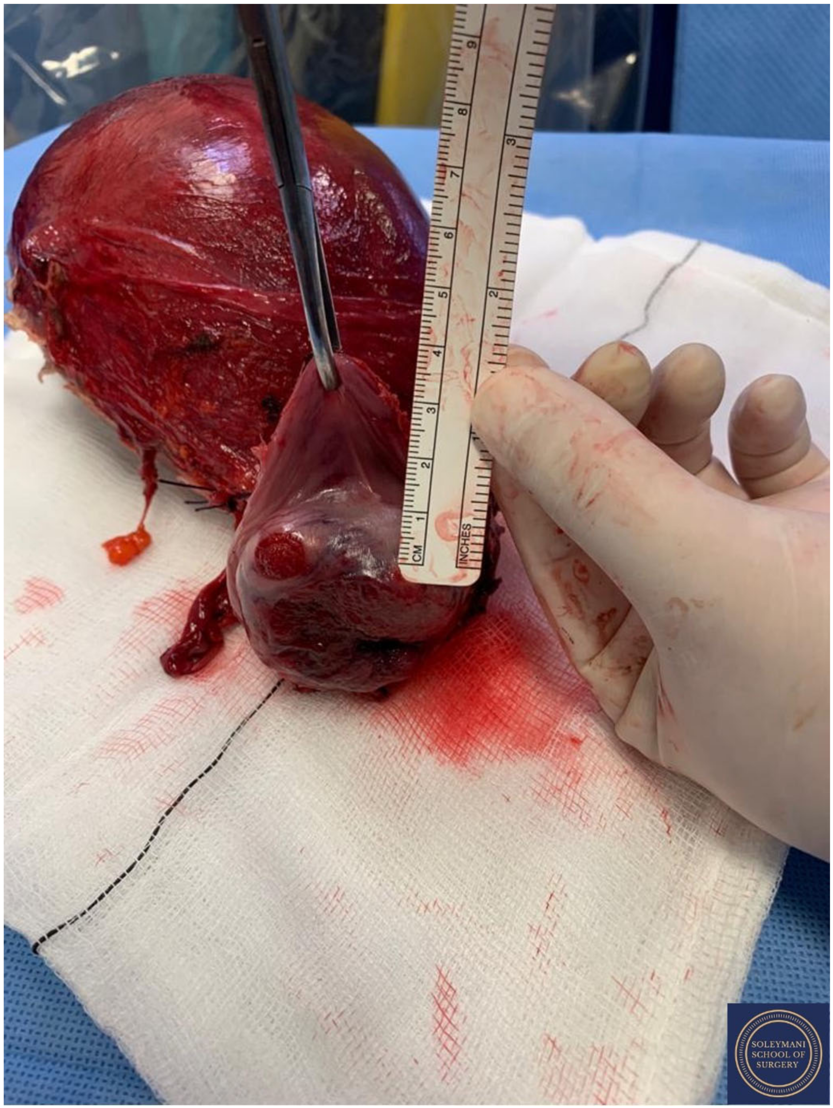 Jcm 11 07352 g016 Jcm 11 07352 g016