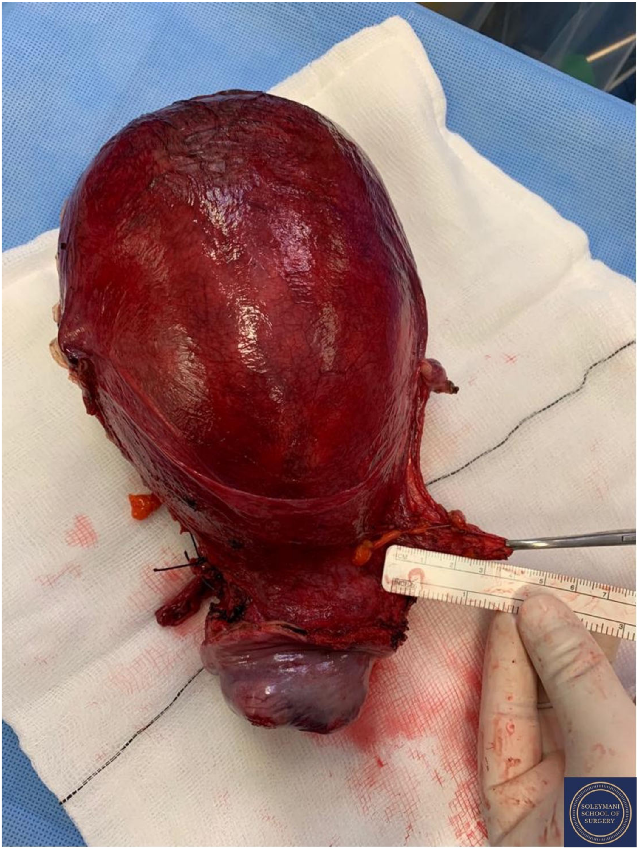 Jcm 11 07352 g017 Jcm 11 07352 g017