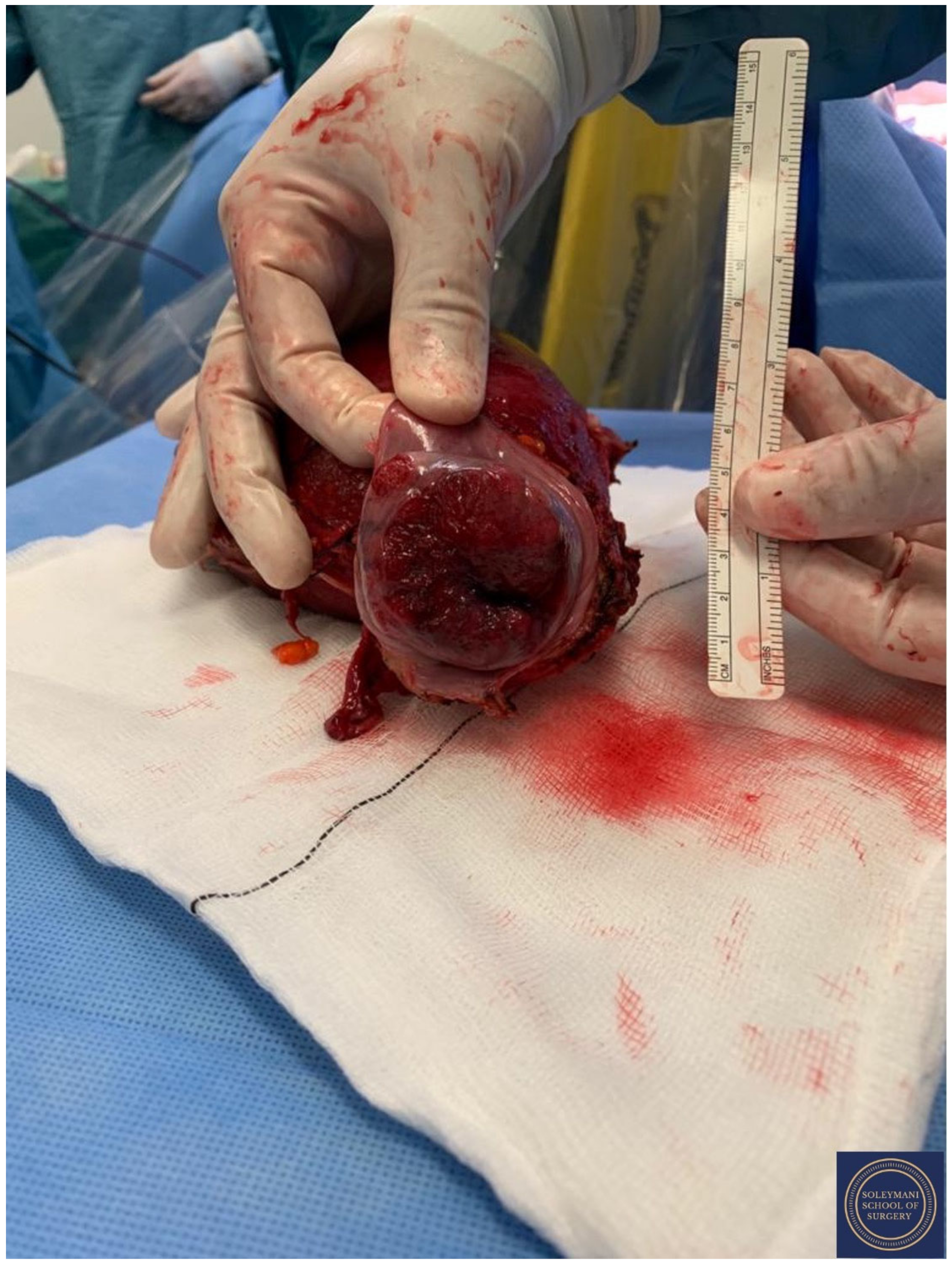 Jcm 11 07352 g018 Jcm 11 07352 g018