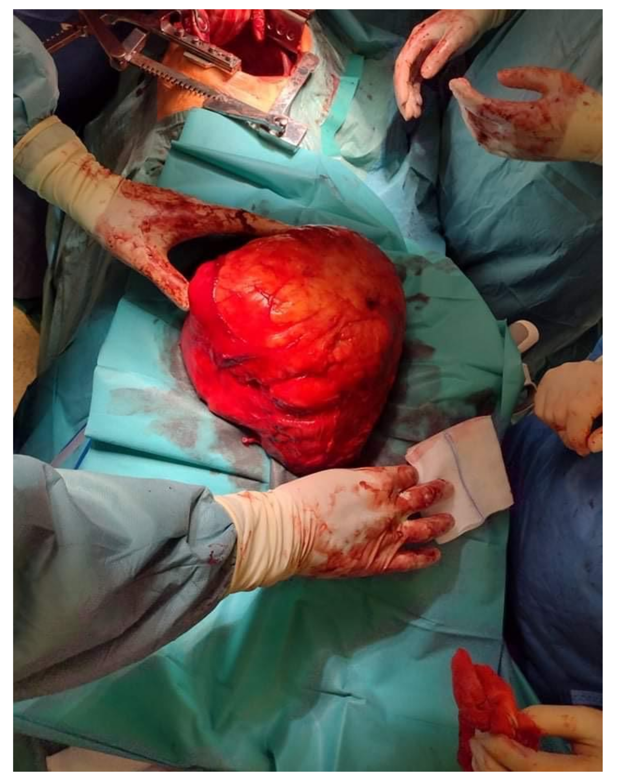 Jcm 11 07353 g002 Jcm 11 07353 g002