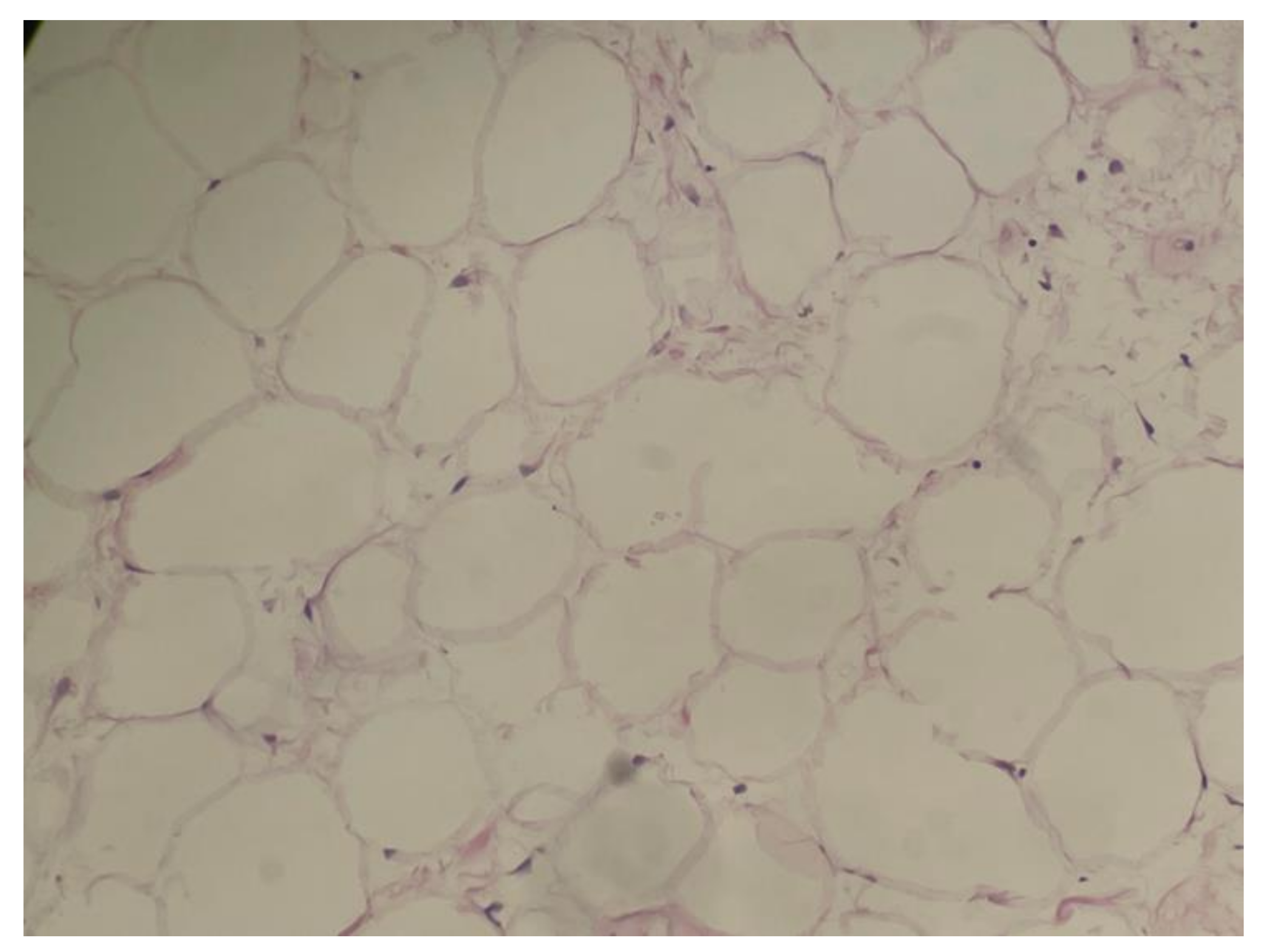 Jcm 11 07353 g003 Jcm 11 07353 g003