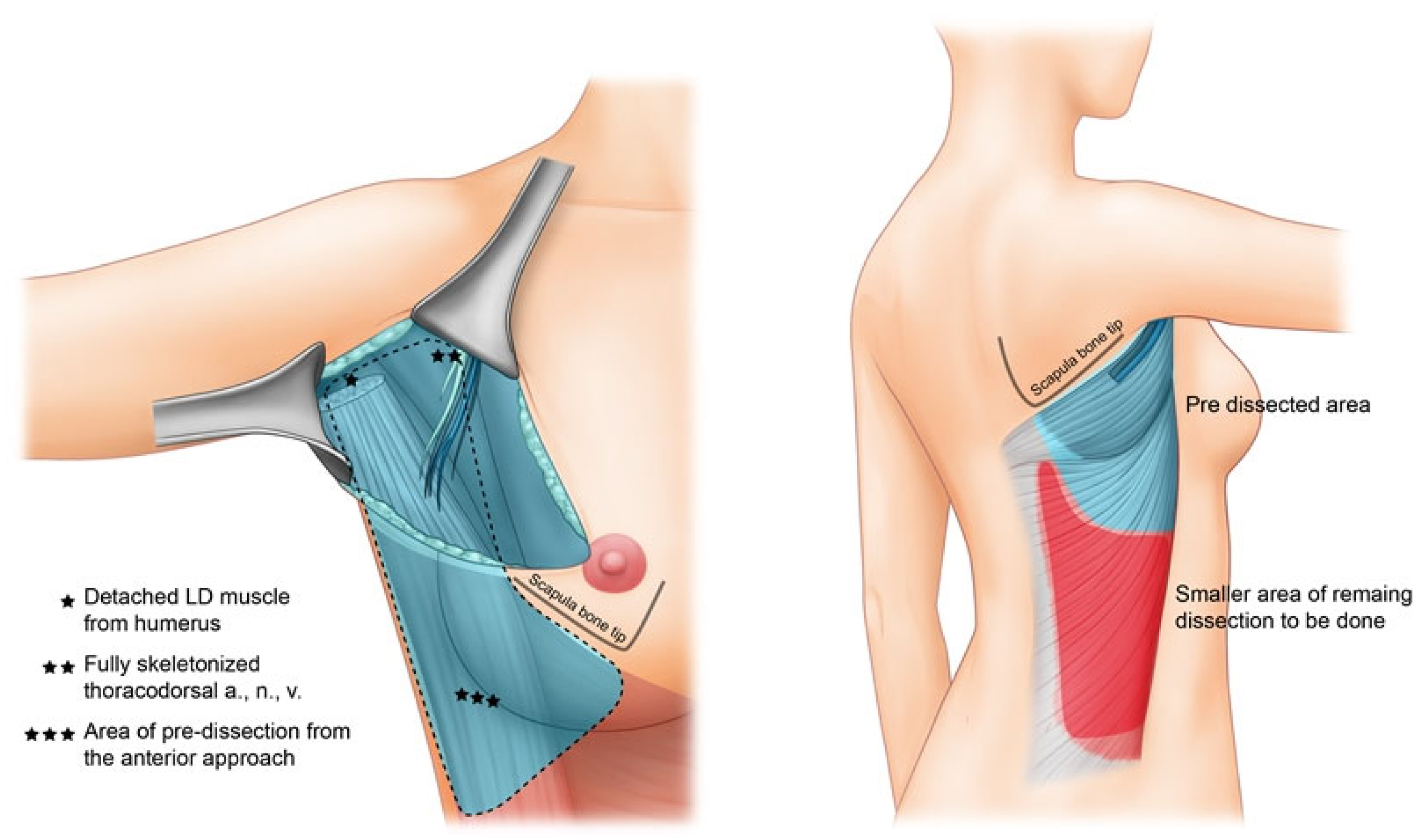 Jcm 11 07387 g001 Jcm 11 07387 g001