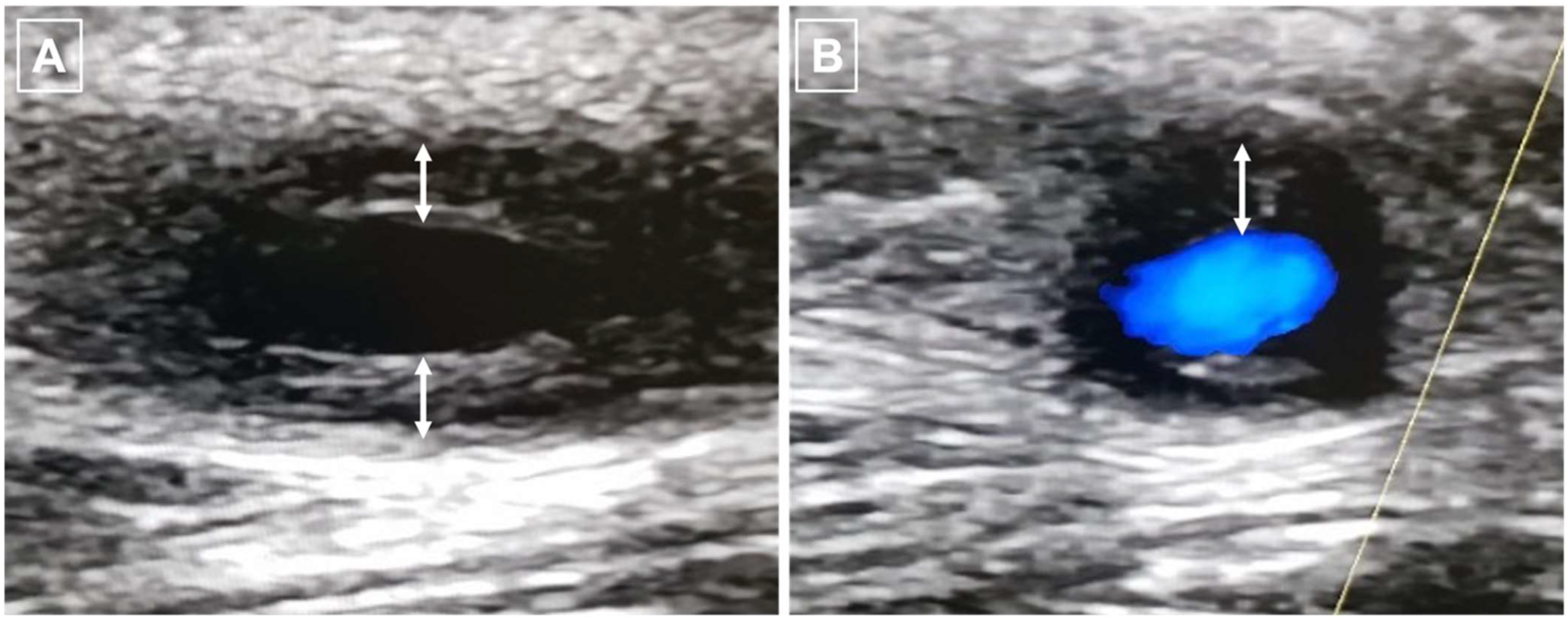 Jcm 11 07412 g001 Jcm 11 07412 g001