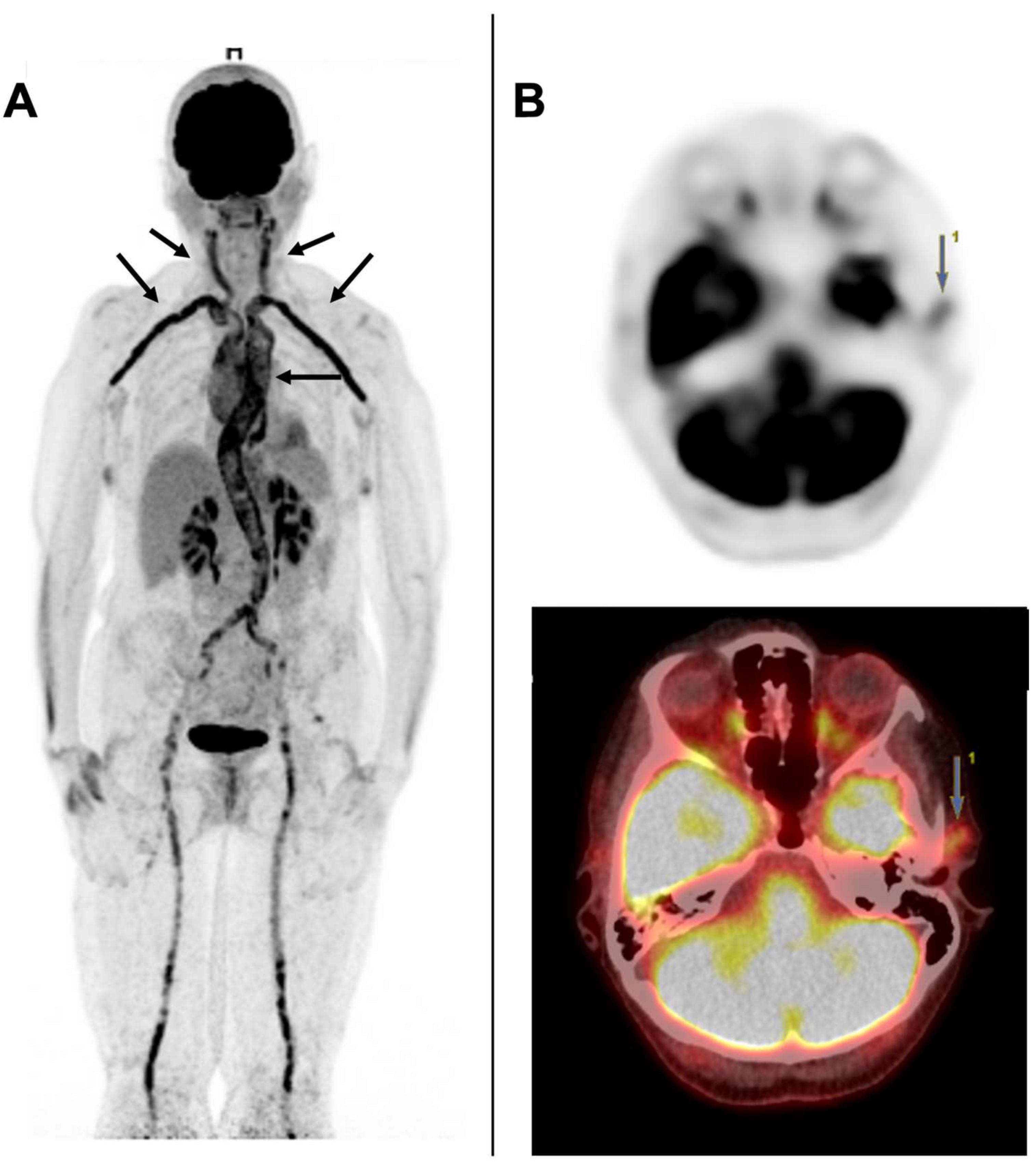 Jcm 11 07412 g002 Jcm 11 07412 g002