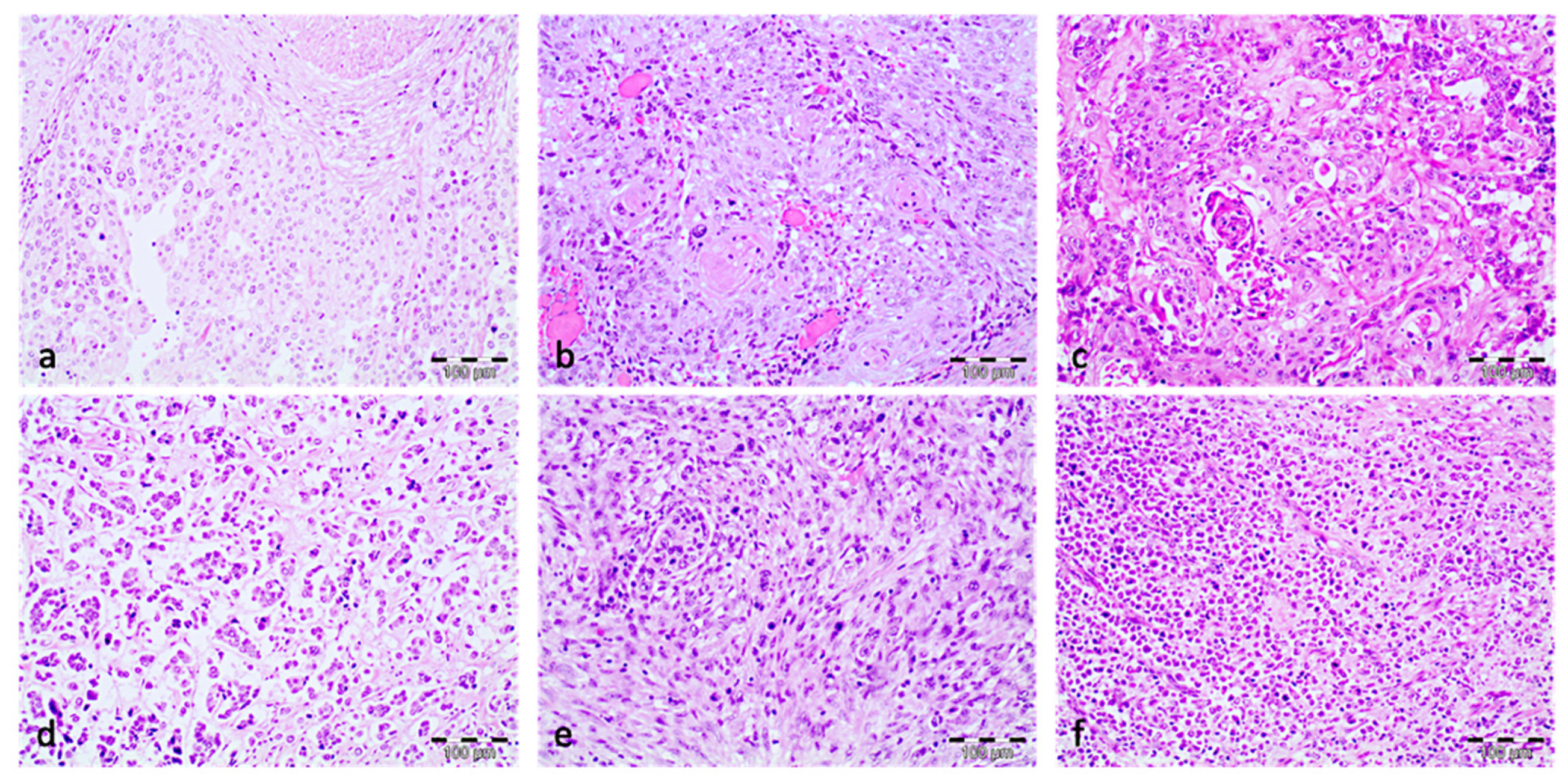 Jcm 11 07430 g001 Jcm 11 07430 g001