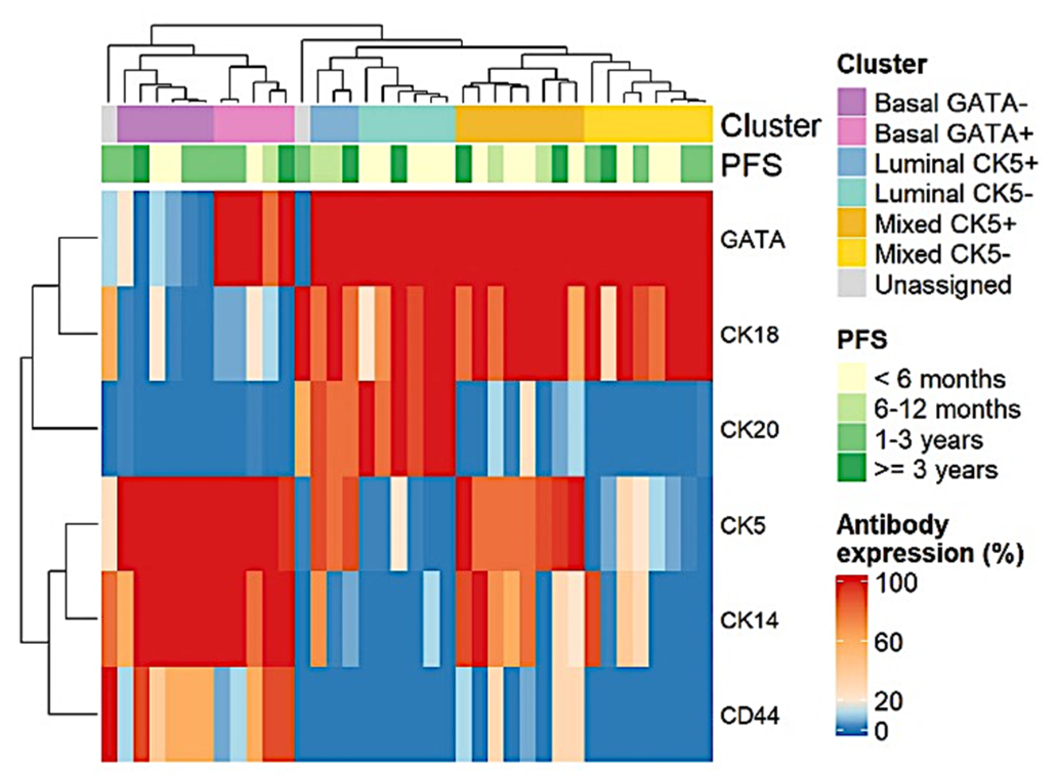 Jcm 11 07430 g003 Jcm 11 07430 g003