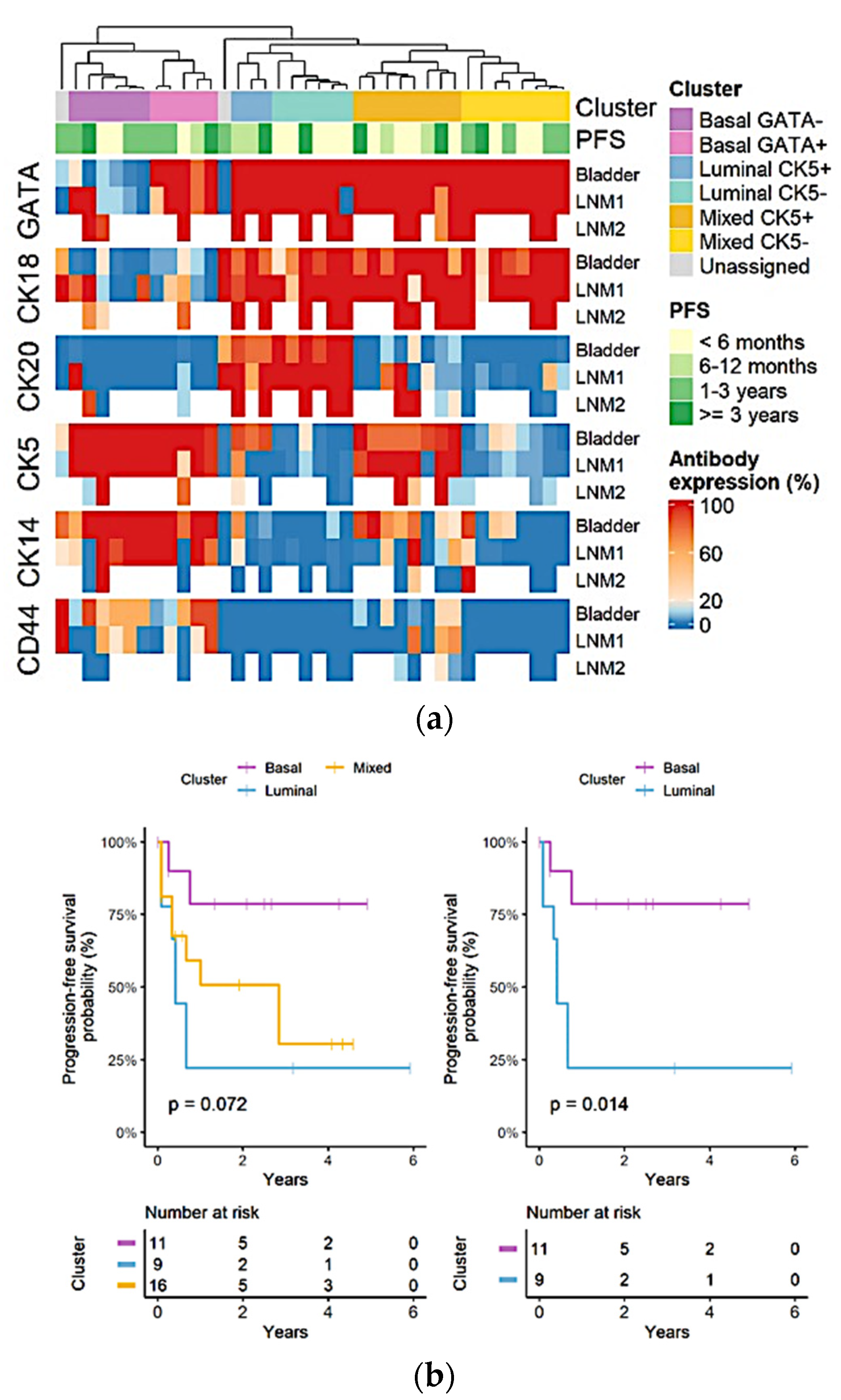 Jcm 11 07430 g006 Jcm 11 07430 g006