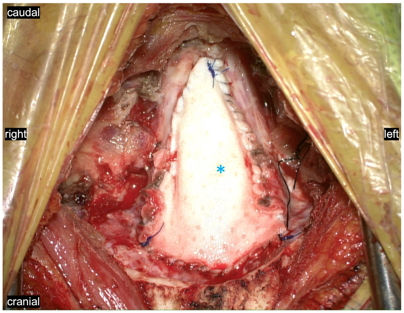 Jcm 11 07437 g002 Jcm 11 07437 g002