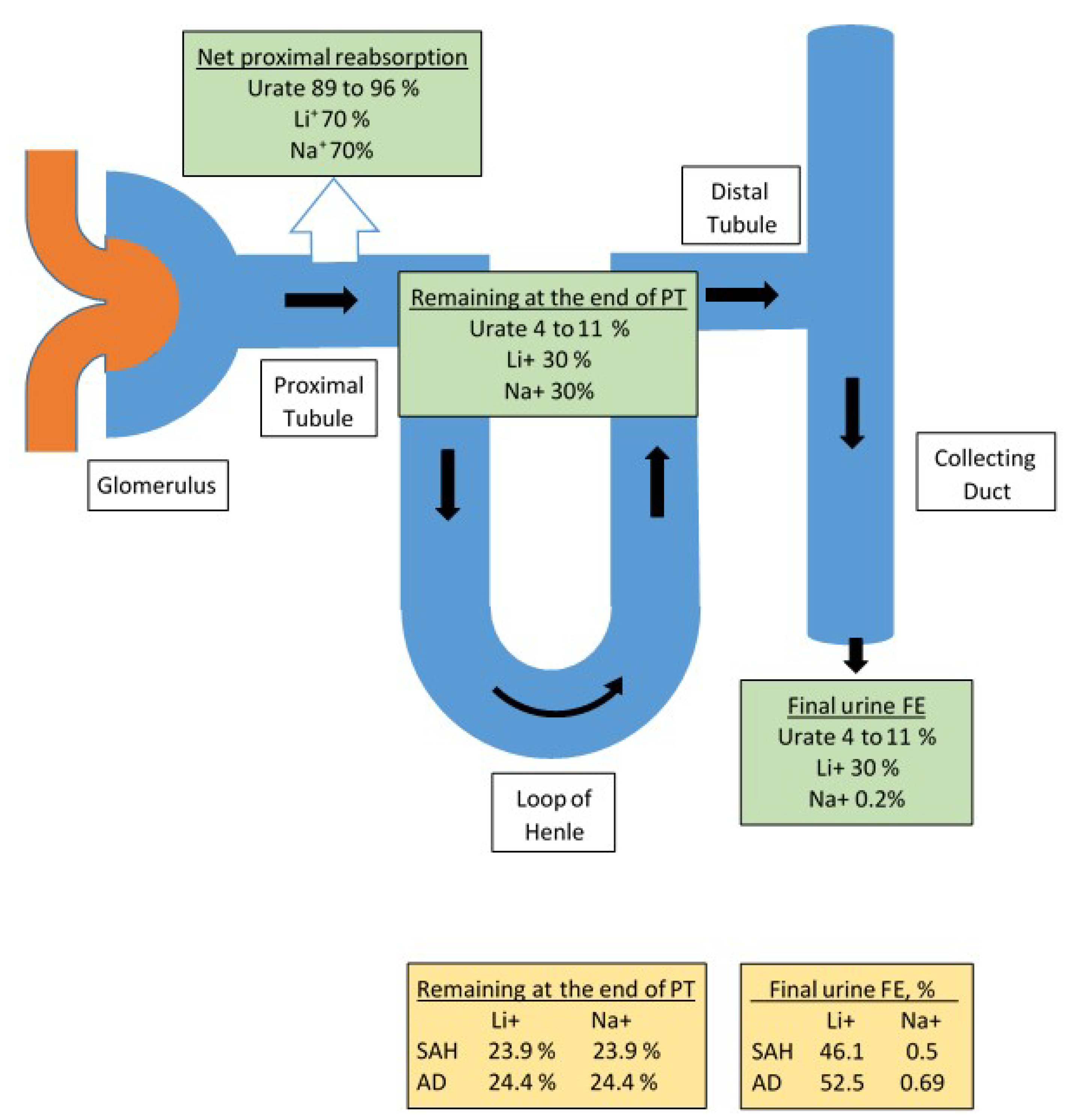 renal-failure-hyponatremia-sexiezpicz-web-porn