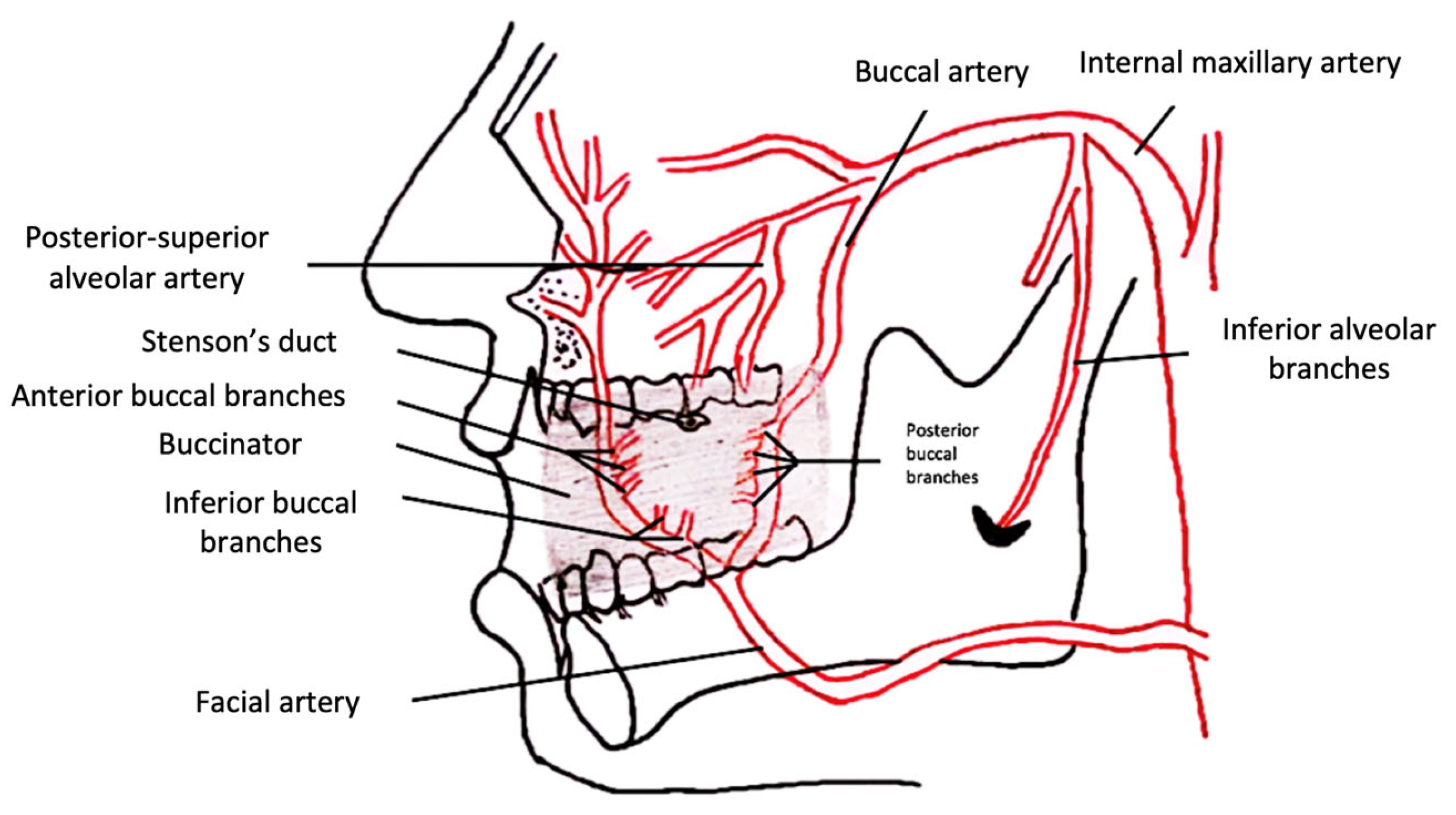 Jcm 11 07458 g001 Jcm 11 07458 g001