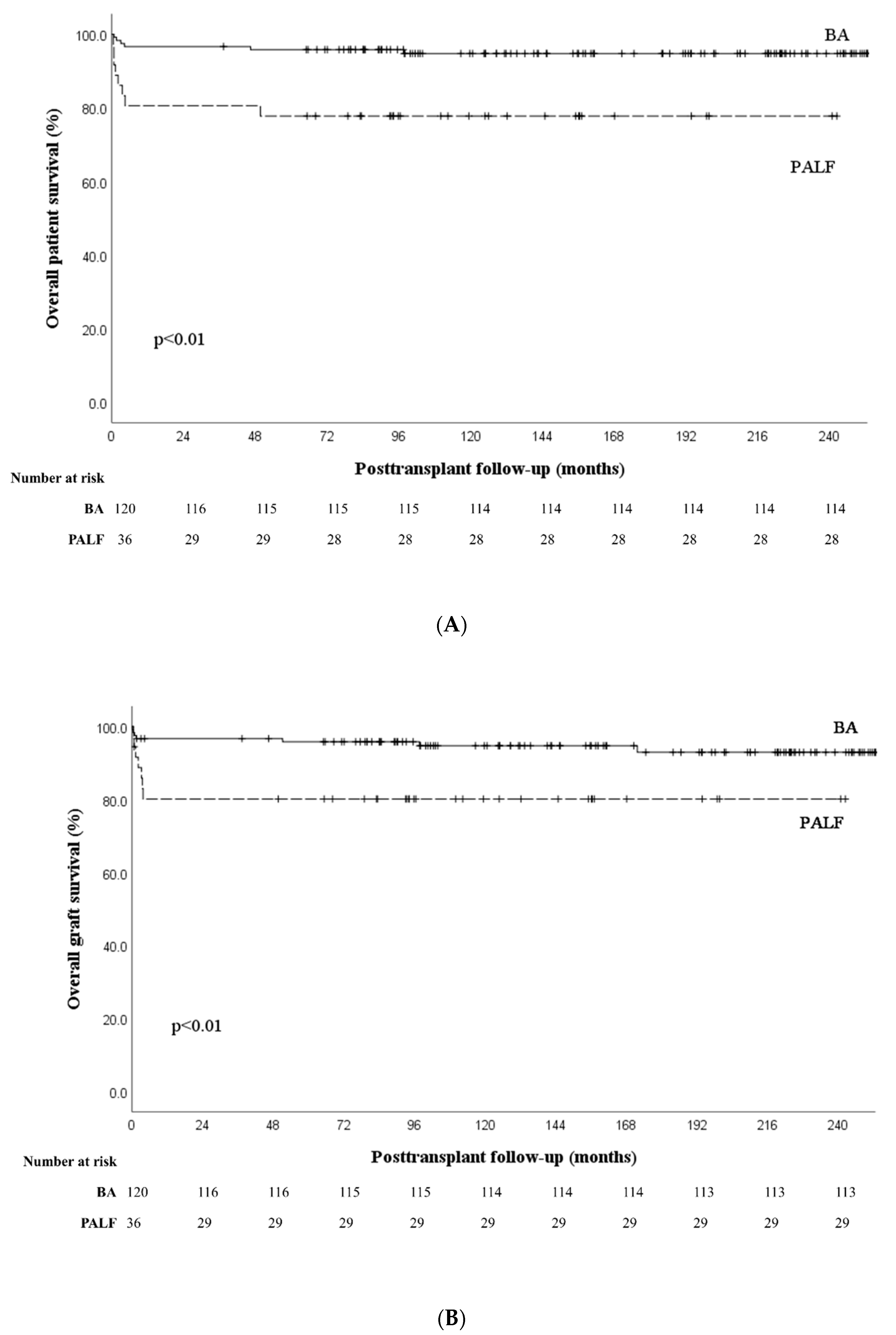Jcm 11 07480 g002 Jcm 11 07480 g002