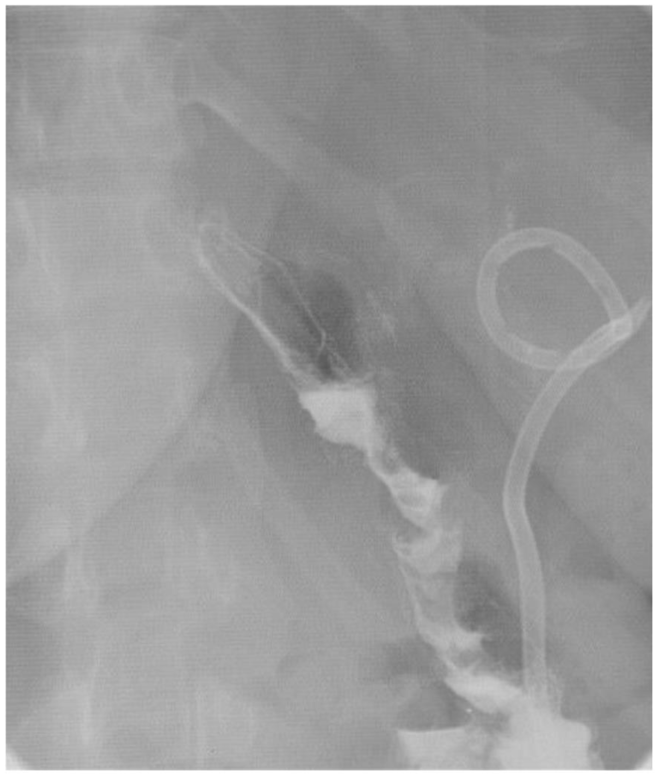 Jcm 11 07487 g002 Jcm 11 07487 g002