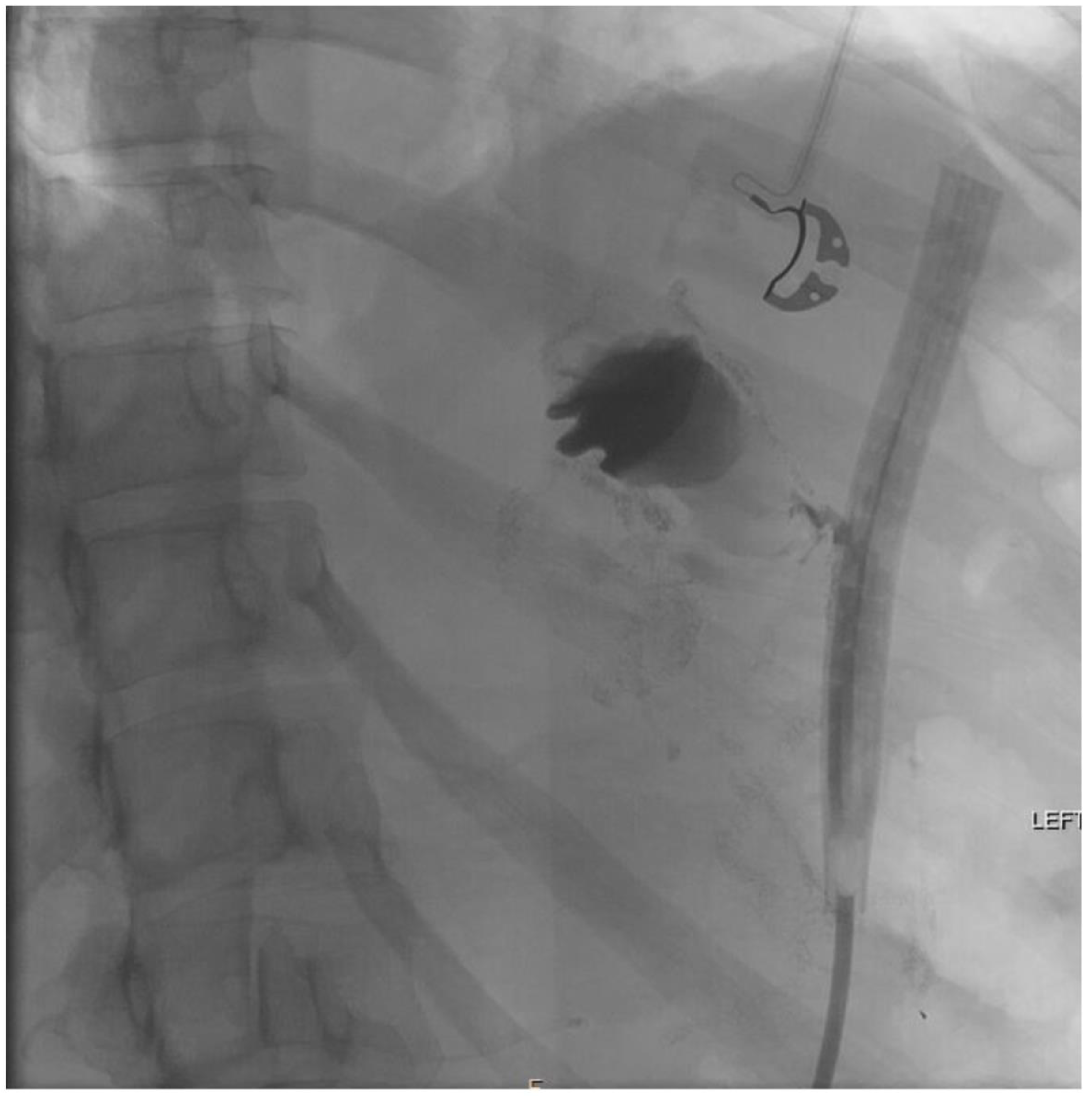 Jcm 11 07487 g005 Jcm 11 07487 g005