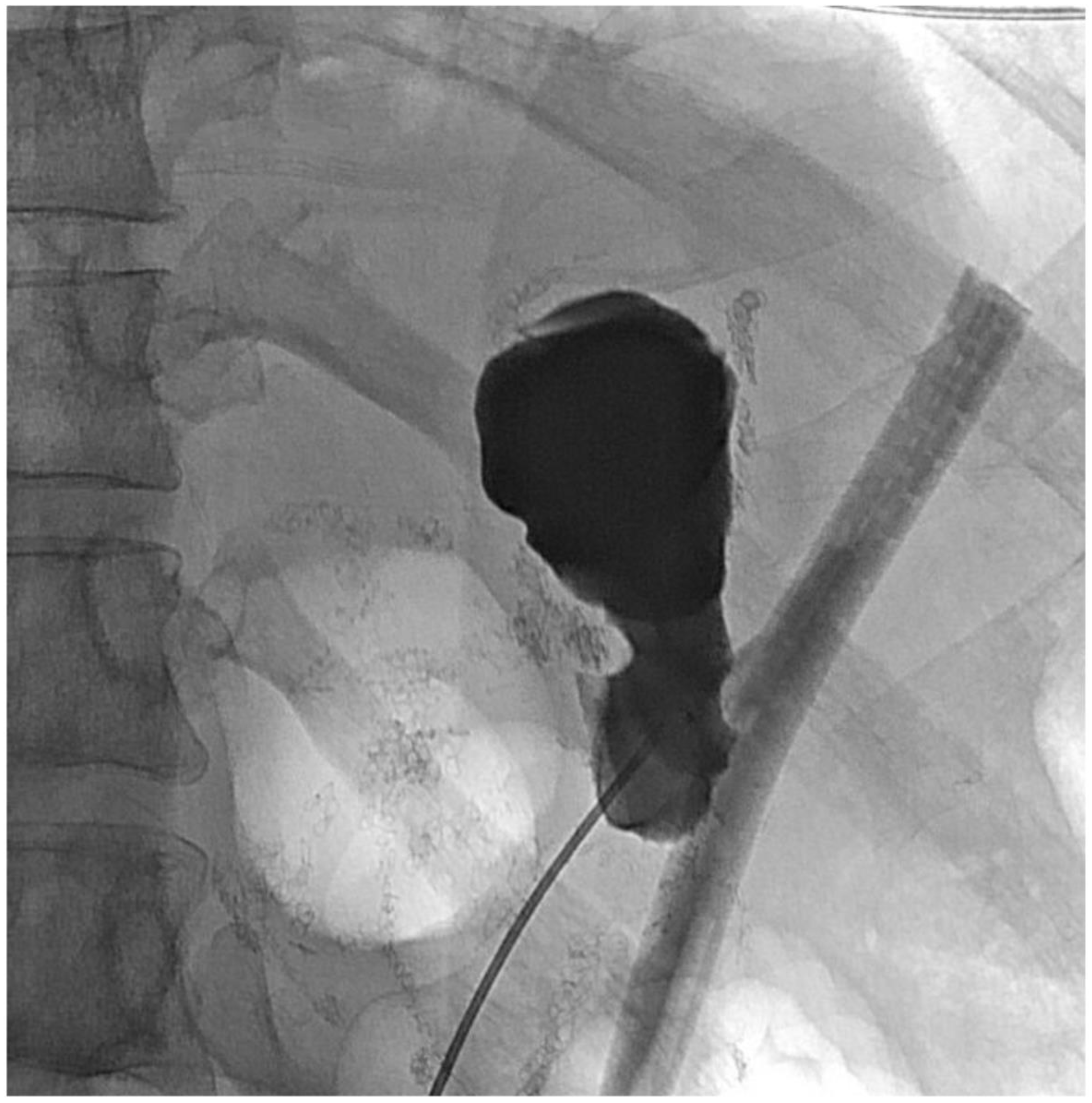 Jcm 11 07487 g009 Jcm 11 07487 g009