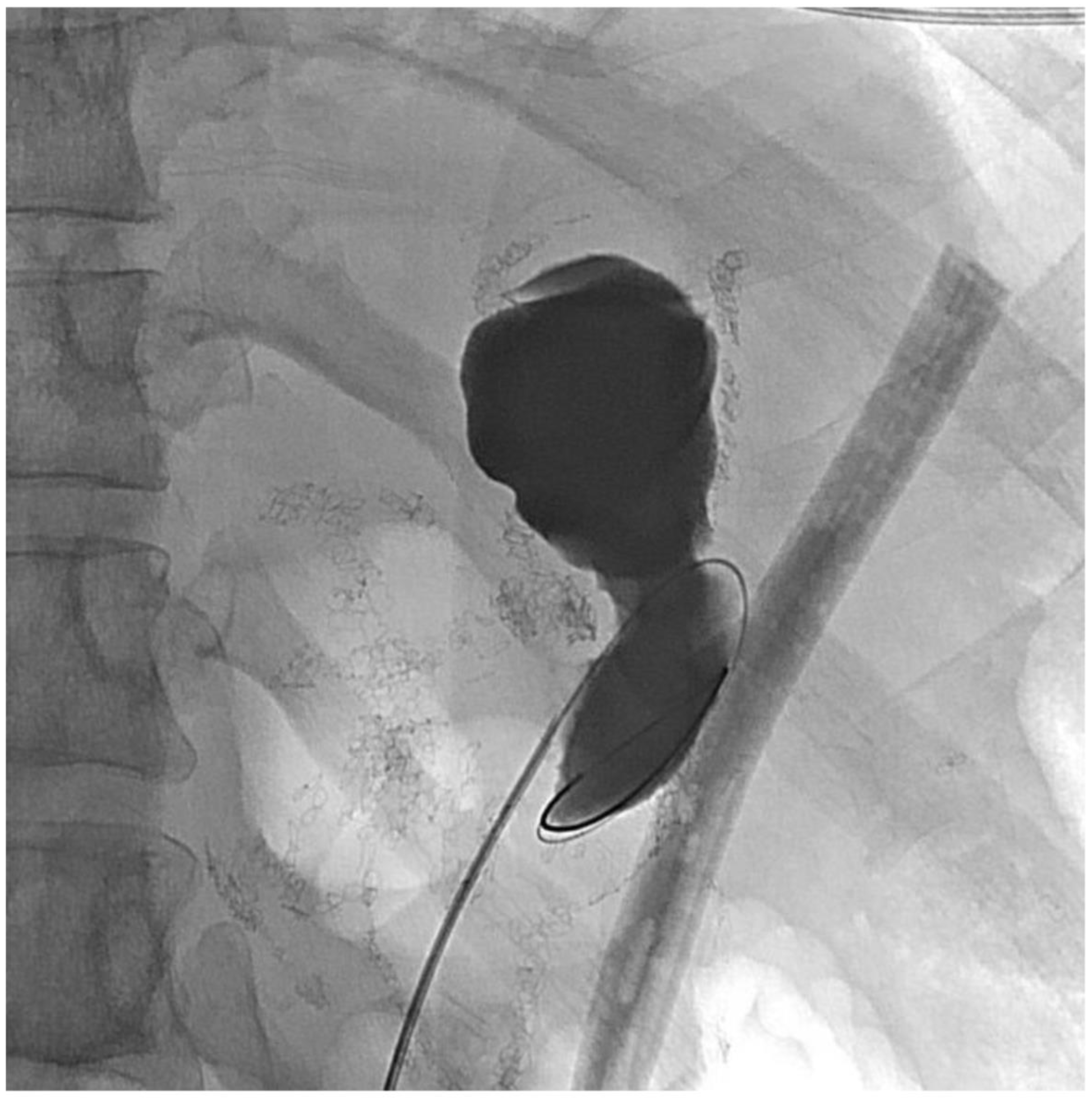 Jcm 11 07487 g010 Jcm 11 07487 g010