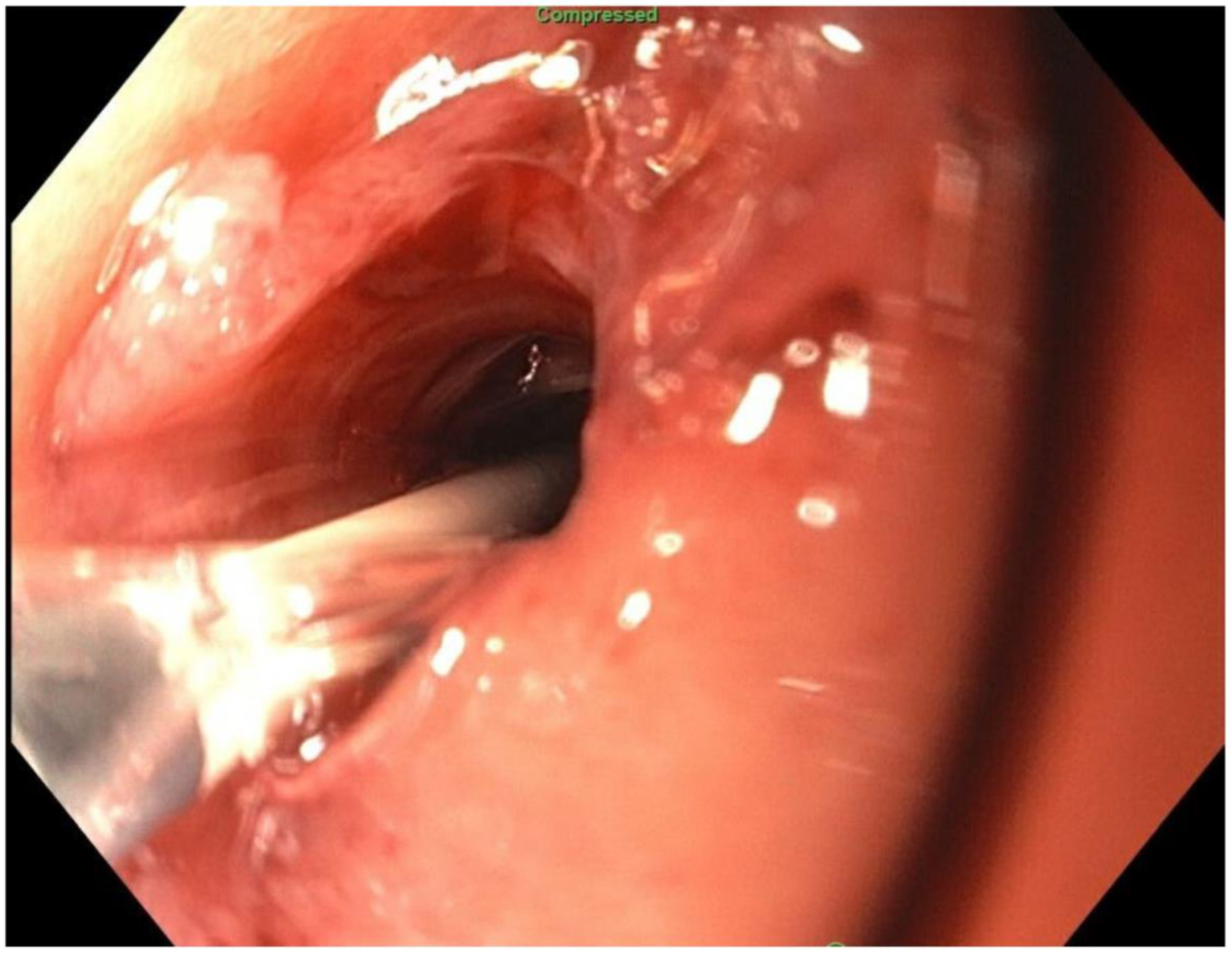 Jcm 11 07487 g016 Jcm 11 07487 g016