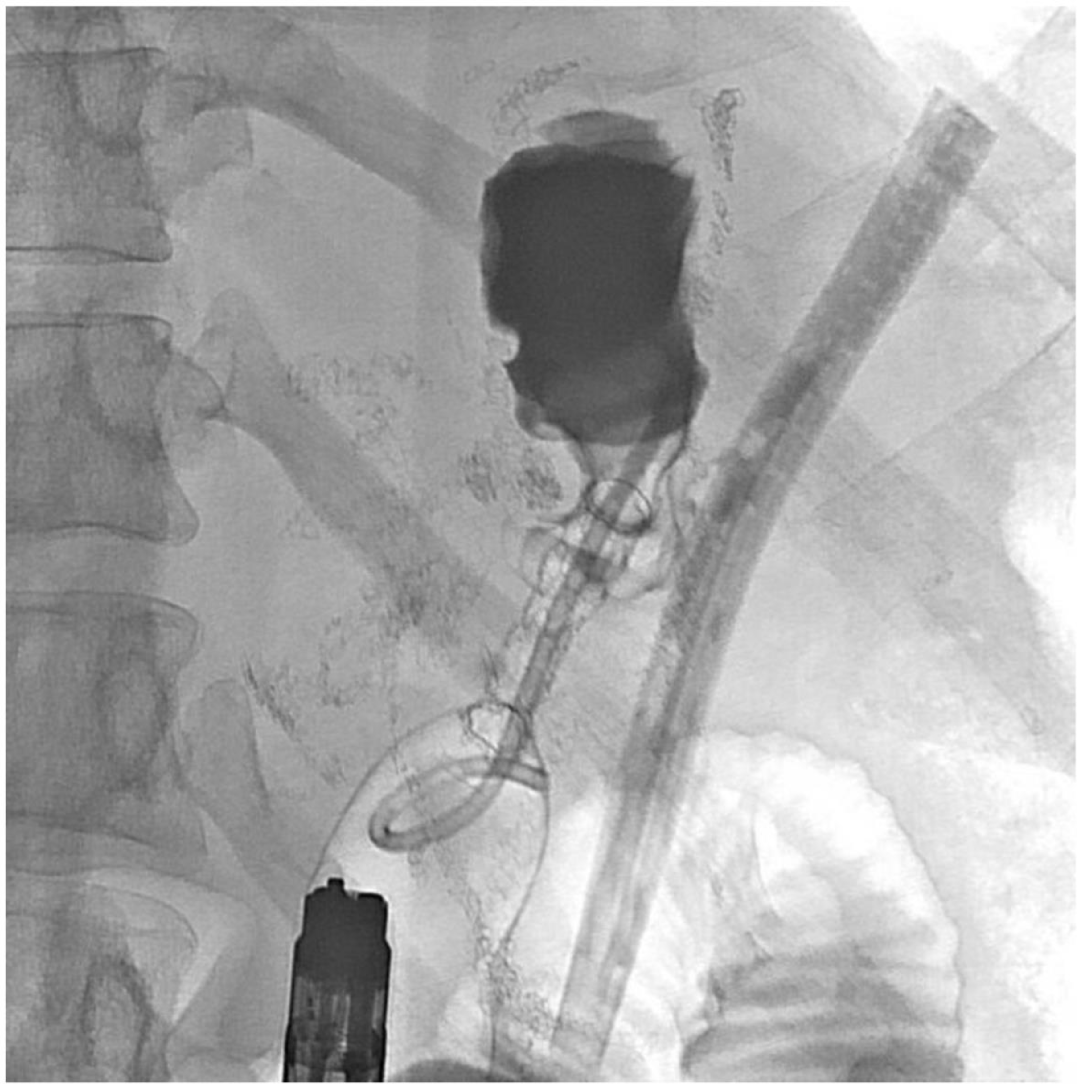 Jcm 11 07487 g019 Jcm 11 07487 g019