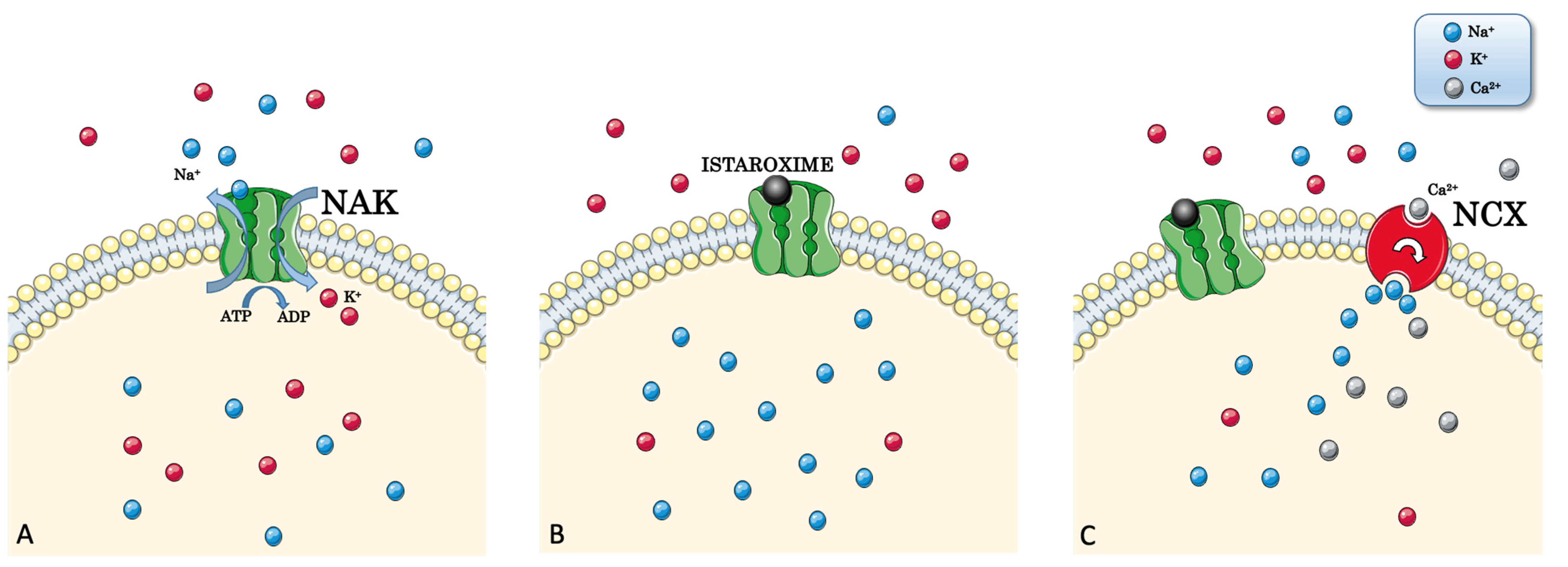 Jcm 11 07503 g001 Jcm 11 07503 g001