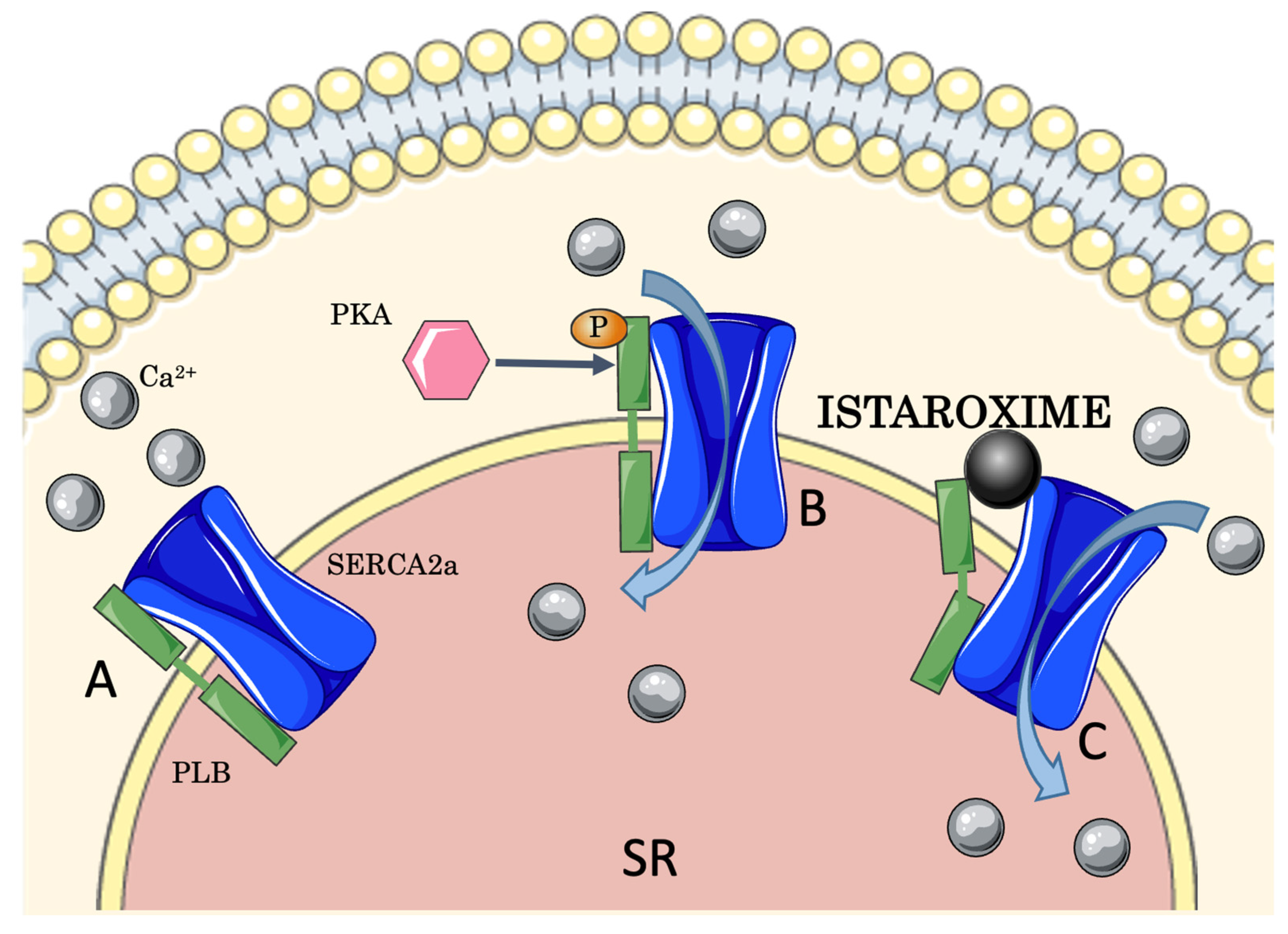 Jcm 11 07503 g002 Jcm 11 07503 g002