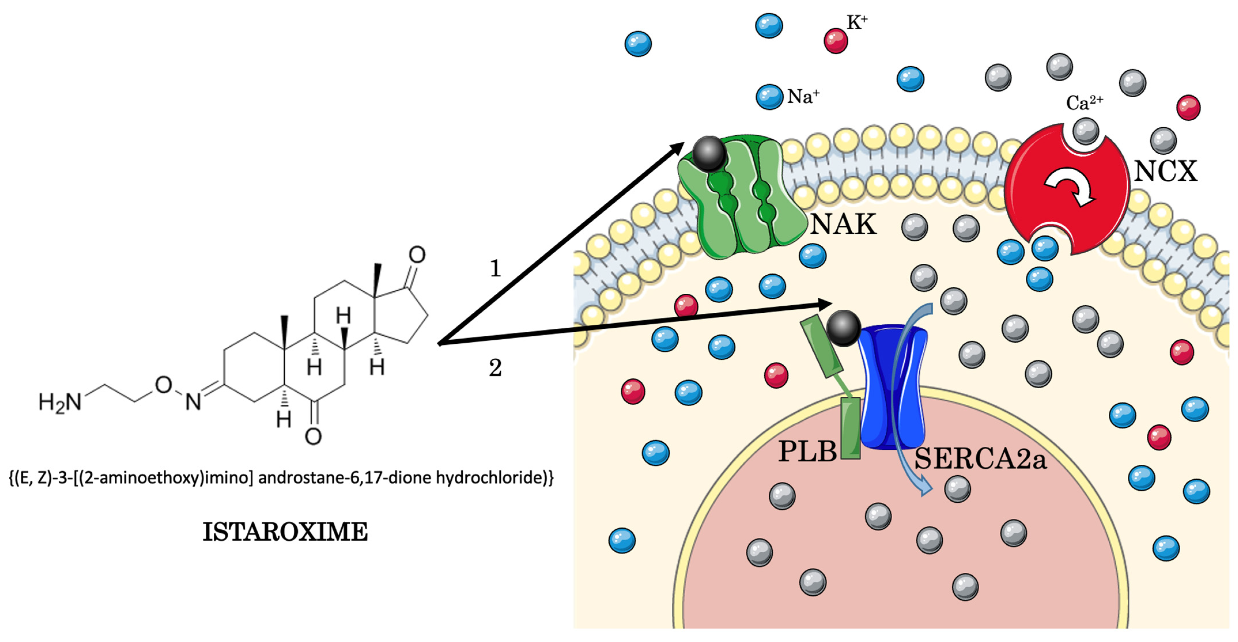 Jcm 11 07503 g003 Jcm 11 07503 g003