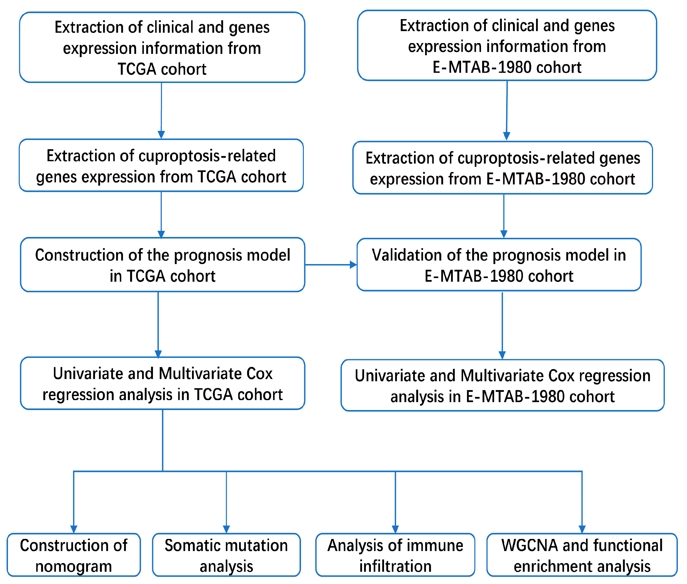 Jcm 11 07507 g001 Jcm 11 07507 g001