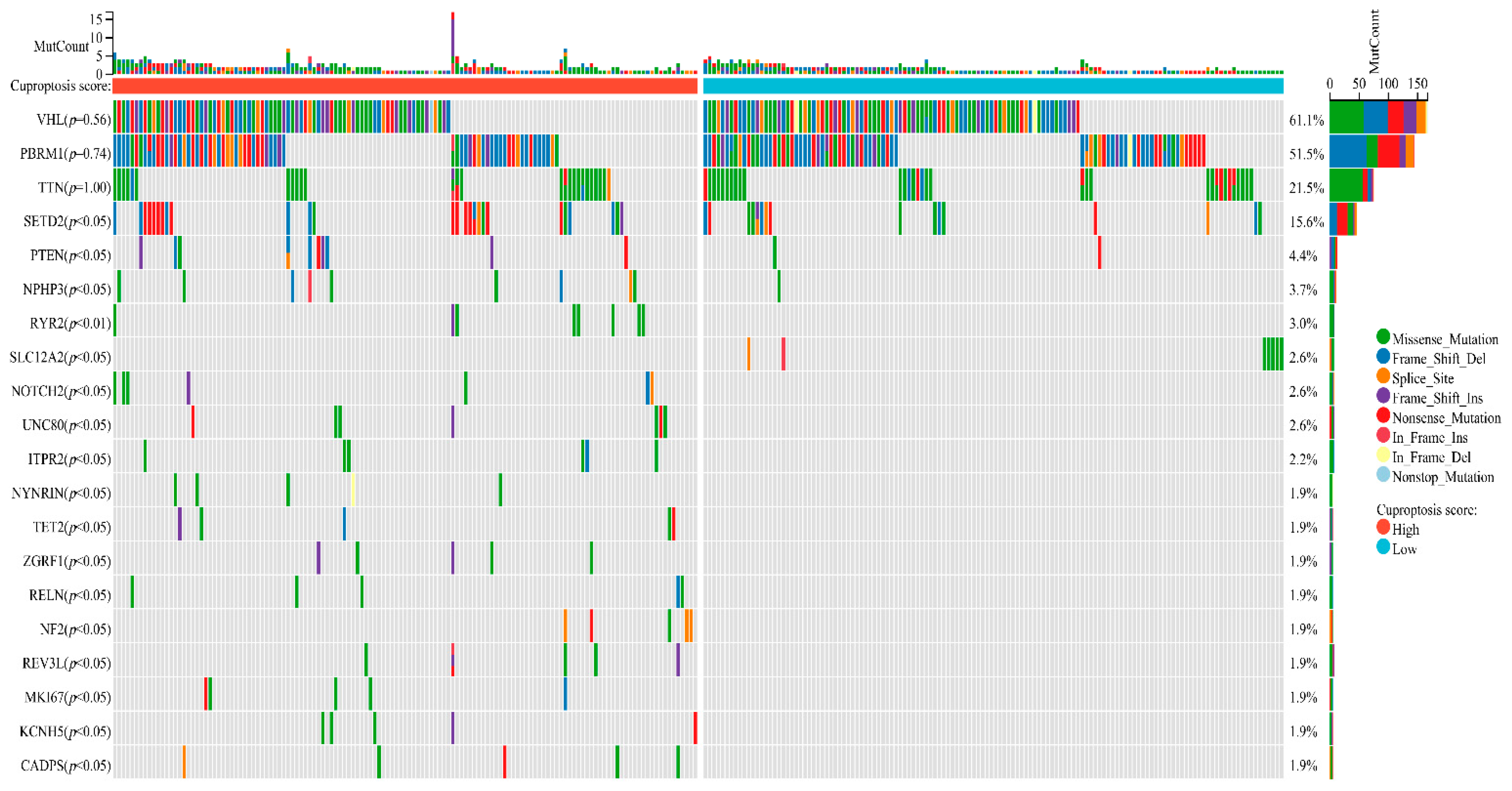 Jcm 11 07507 g006 Jcm 11 07507 g006
