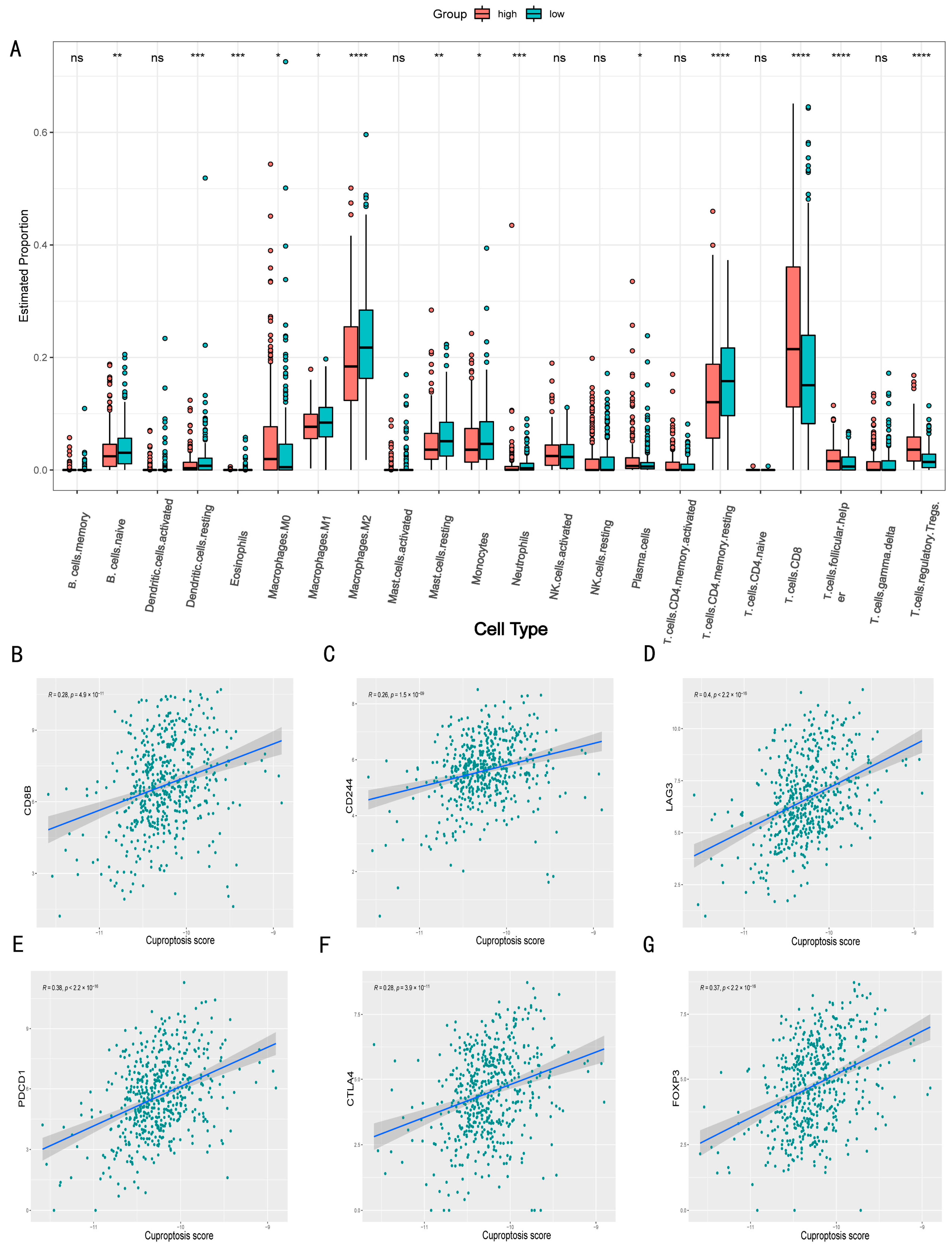 Jcm 11 07507 g007 Jcm 11 07507 g007