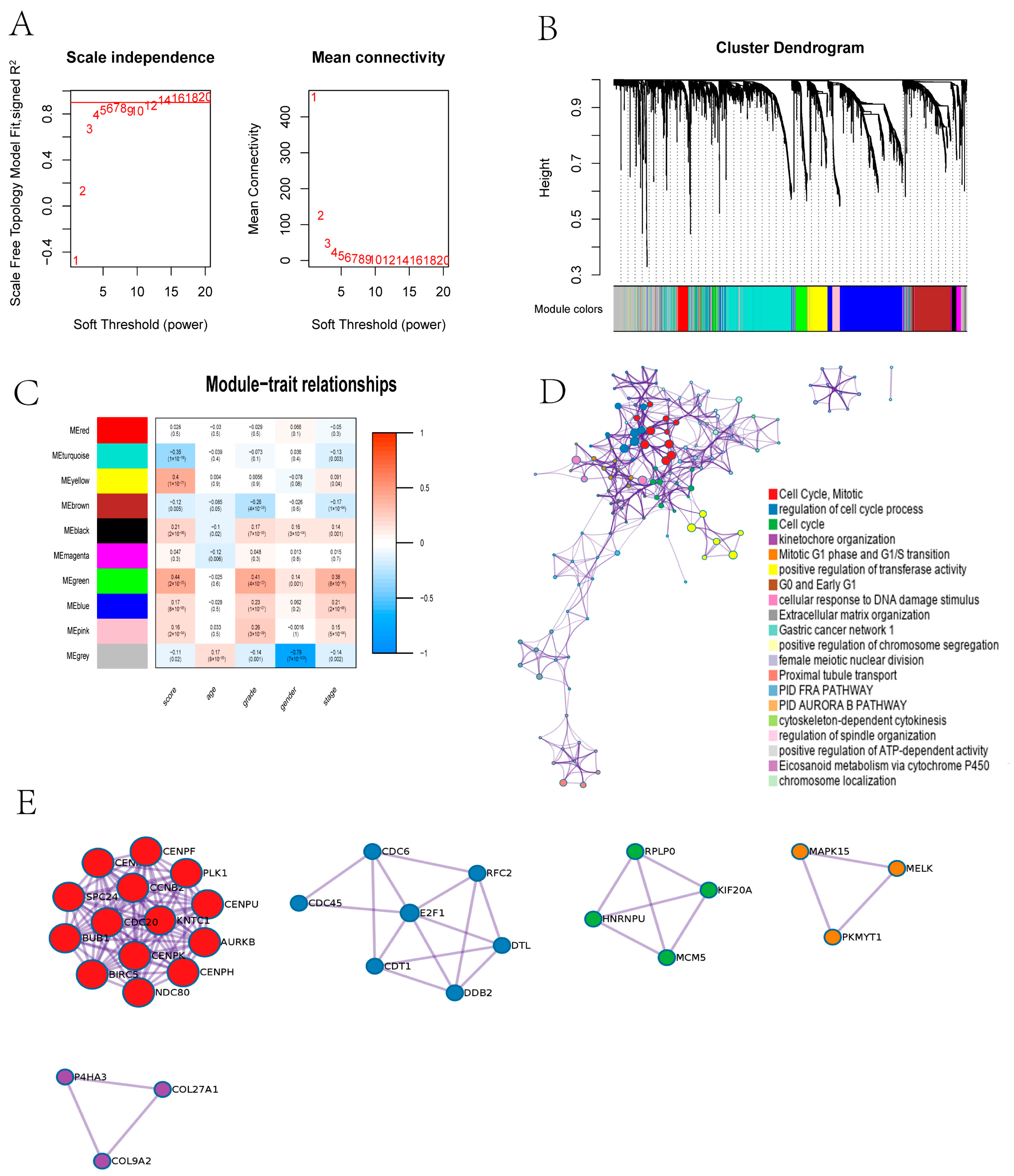 Jcm 11 07507 g008 Jcm 11 07507 g008