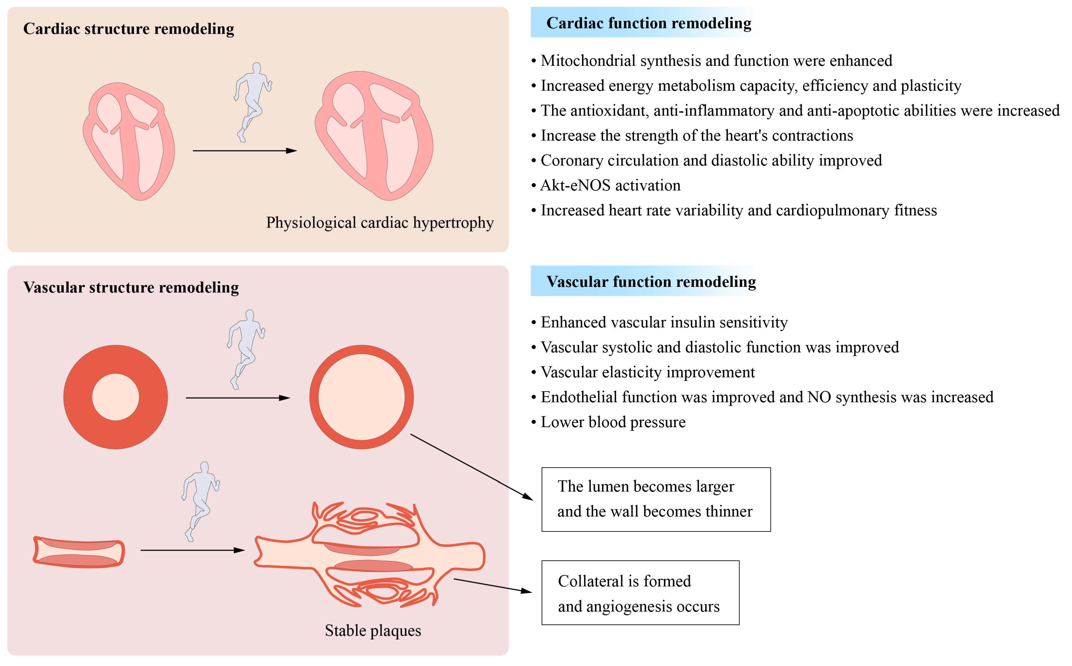 Jcm 11 07511 g003 Jcm 11 07511 g003