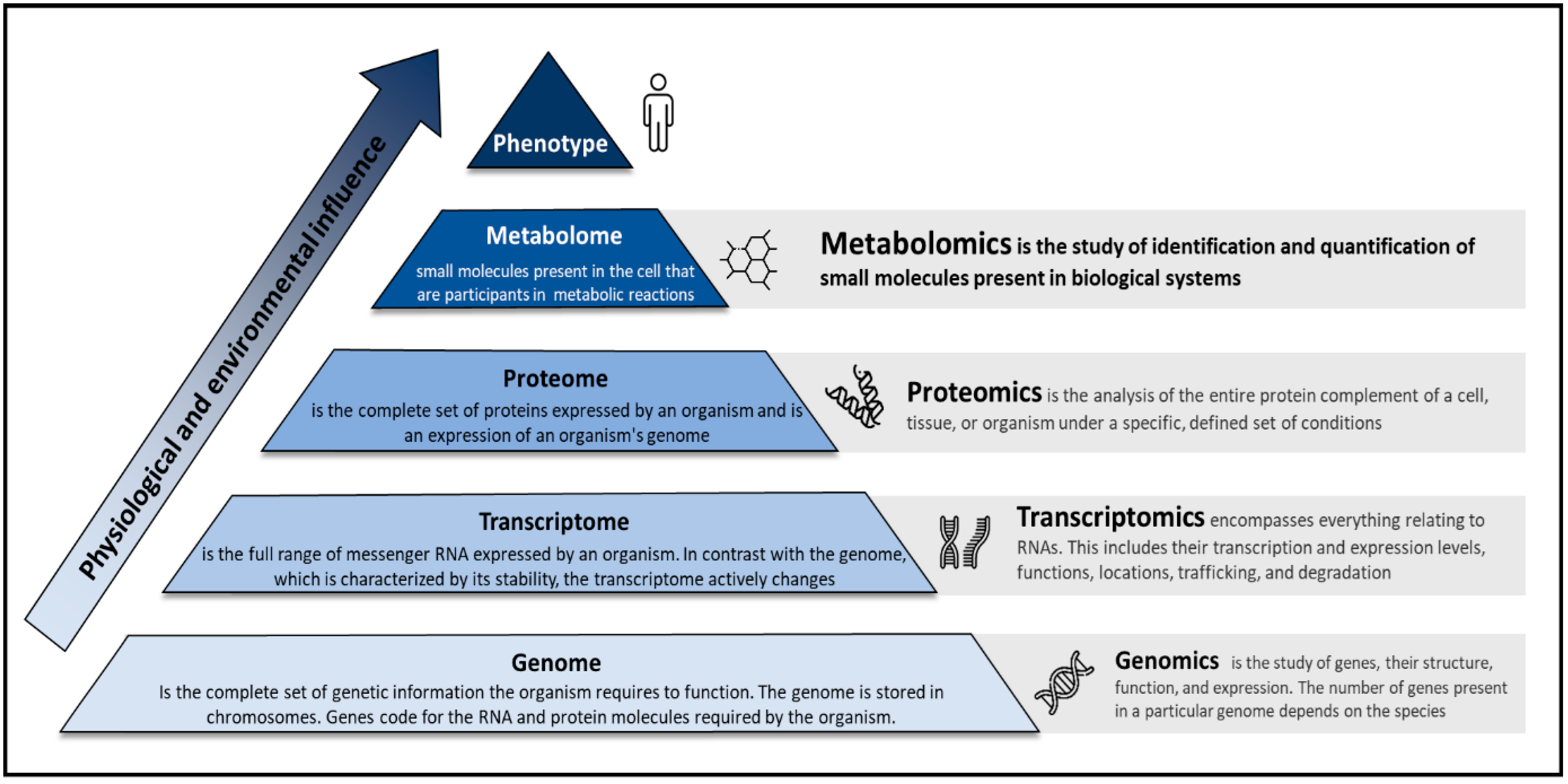 Jcm 11 07515 g002 Jcm 11 07515 g002