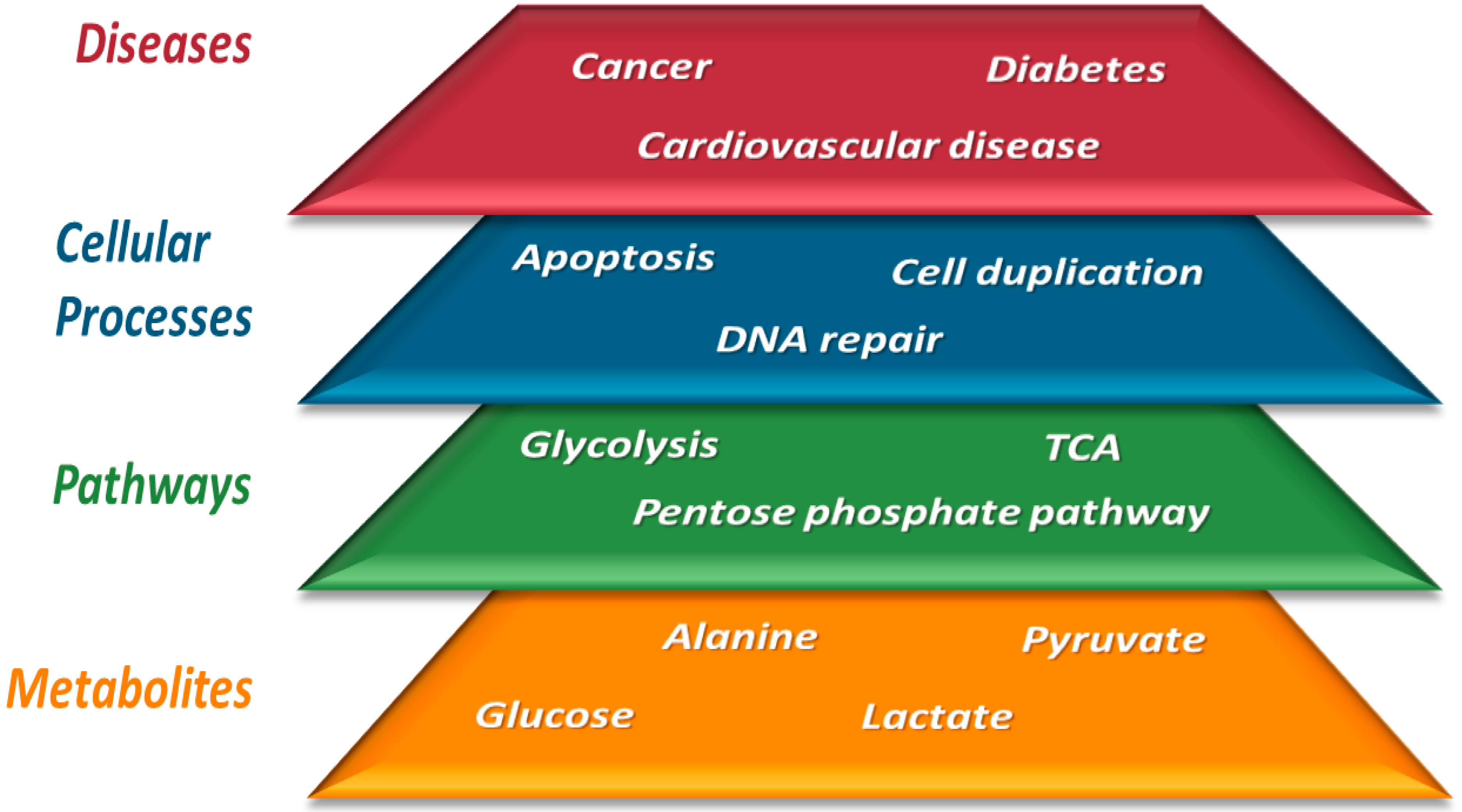 Jcm 11 07515 g003 Jcm 11 07515 g003
