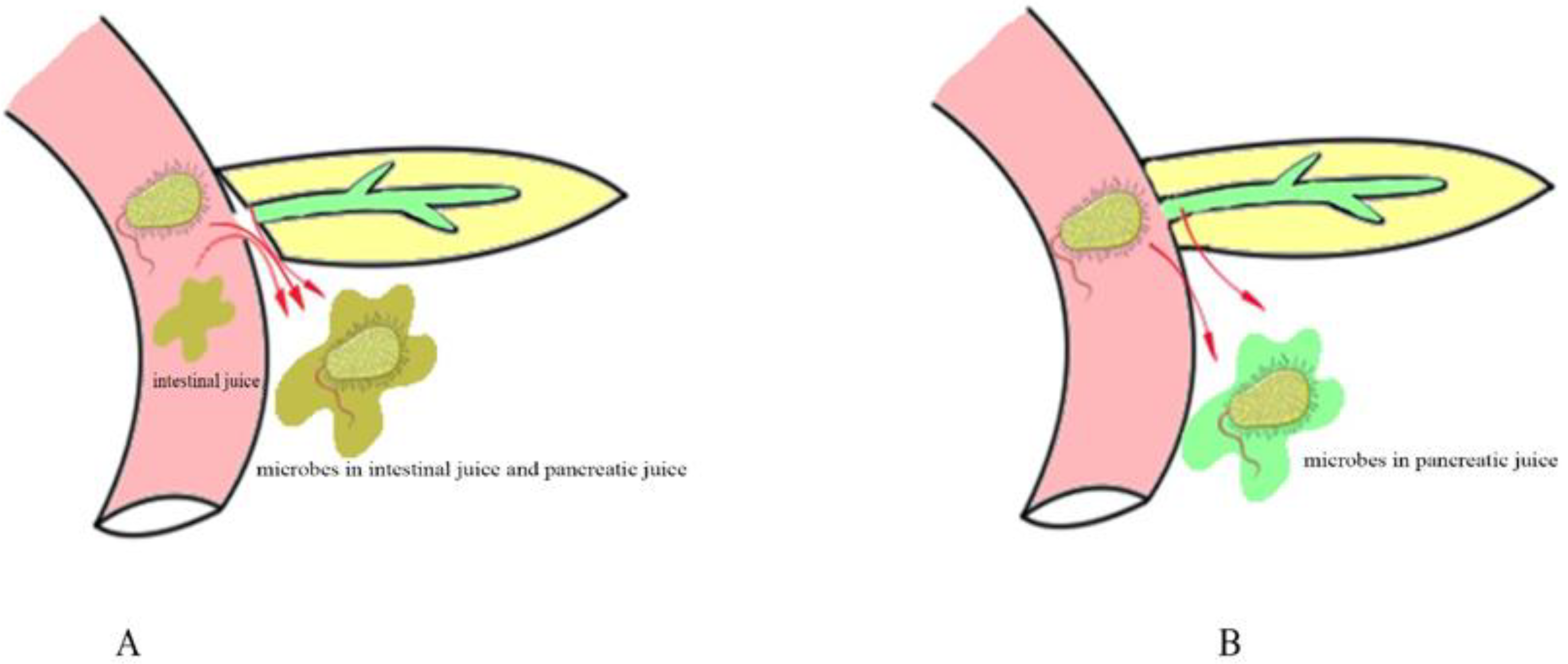 Jcm 11 07516 g001 Jcm 11 07516 g001