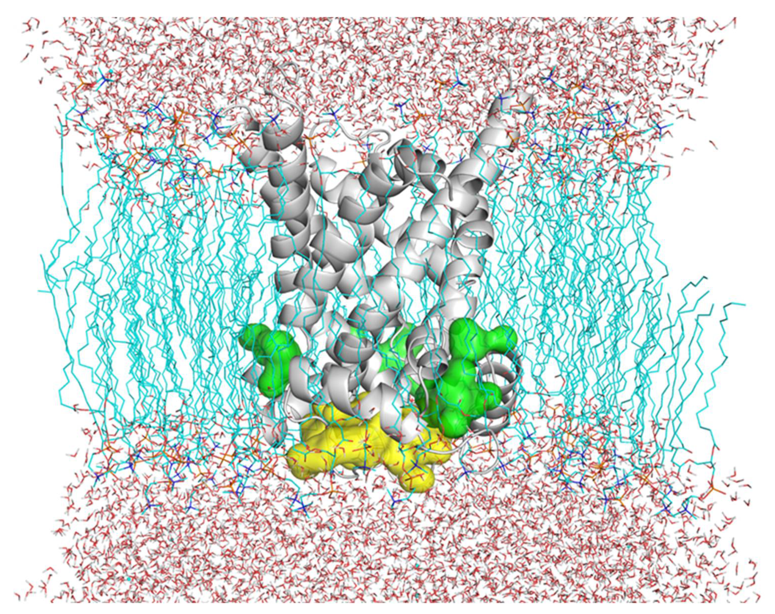 Jcm 11 07519 g006 Jcm 11 07519 g006