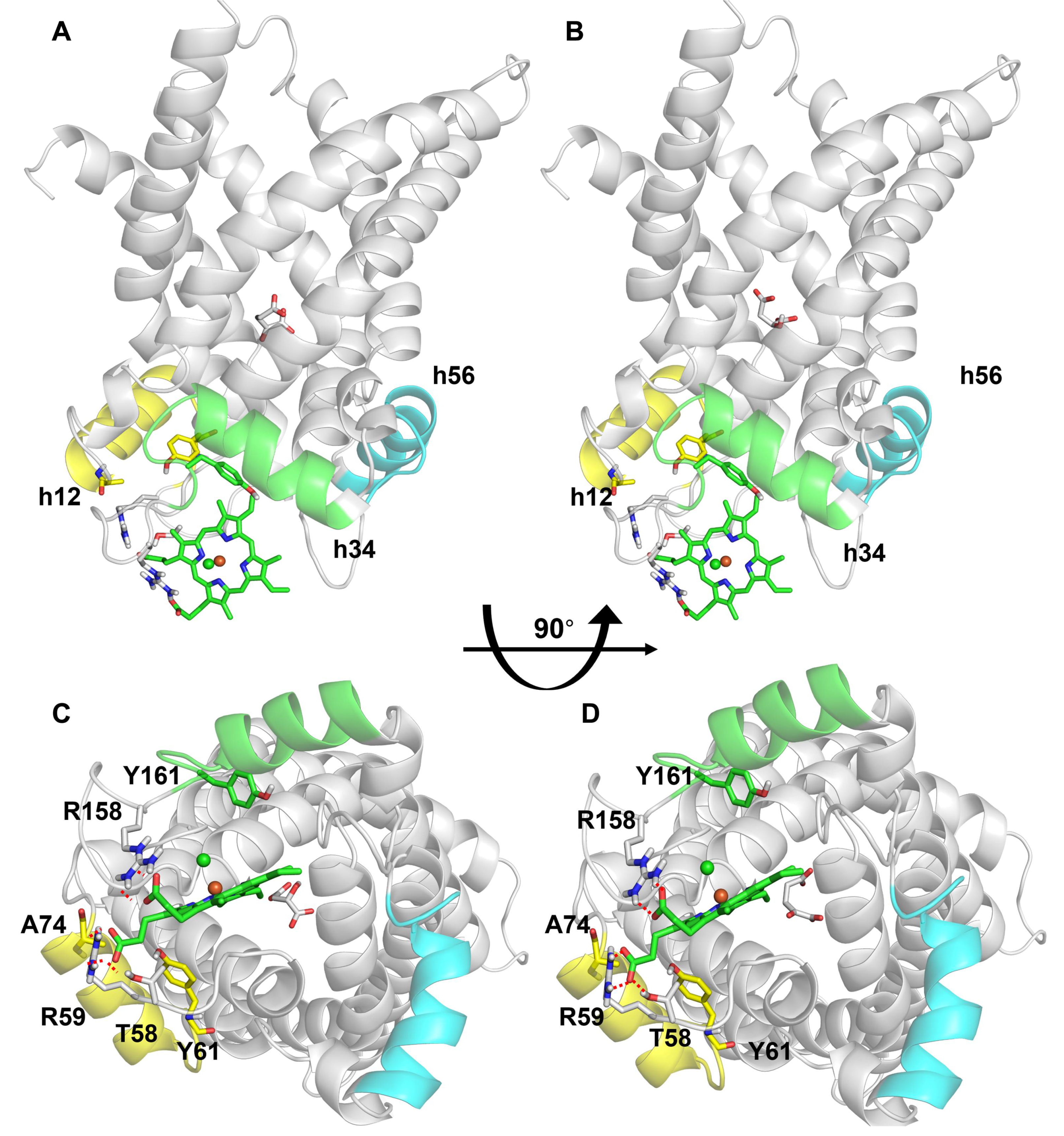 Jcm 11 07519 g007 Jcm 11 07519 g007
