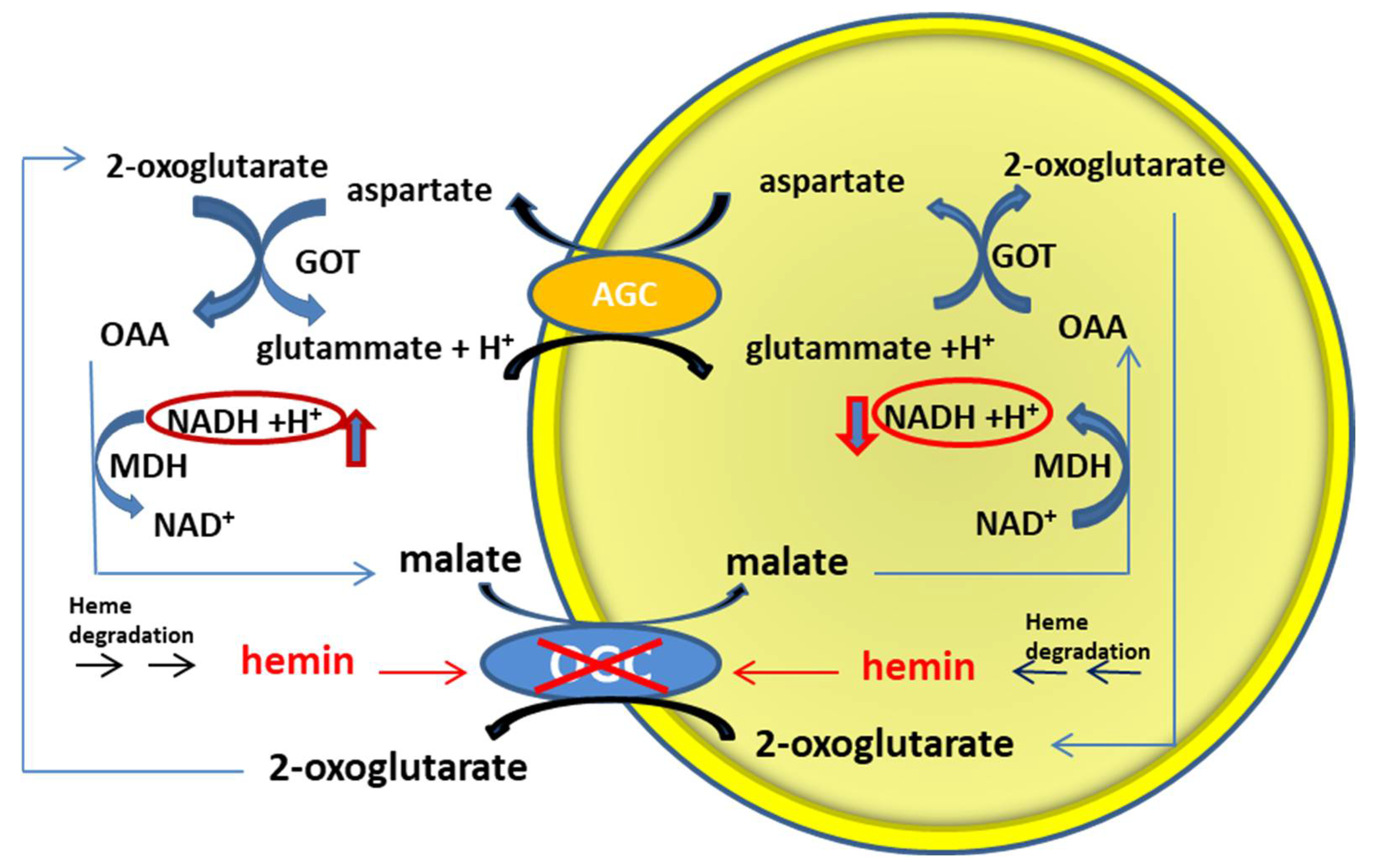 Jcm 11 07519 g008 Jcm 11 07519 g008