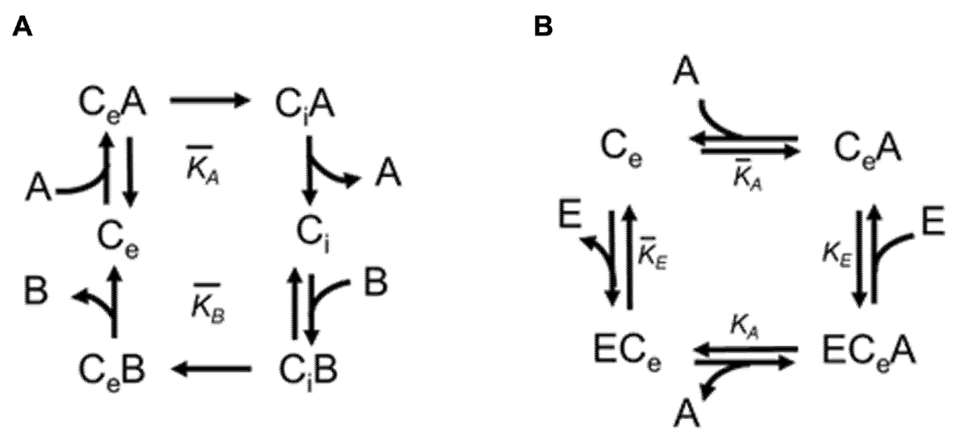 Jcm 11 07519 g009 Jcm 11 07519 g009