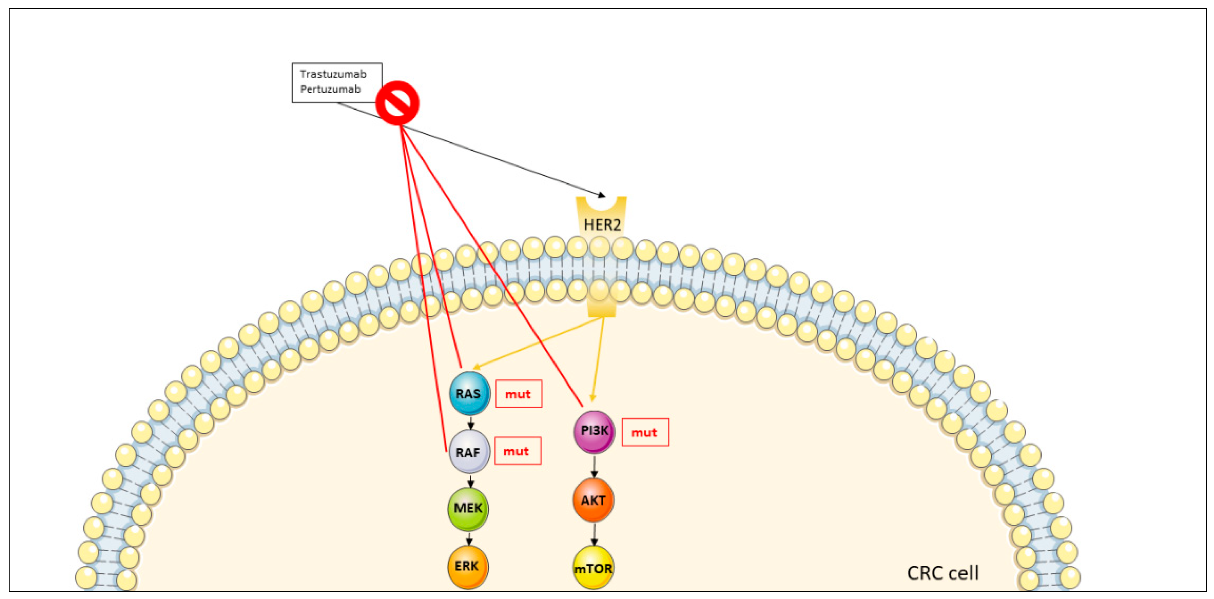 Jcm 11 07523 g003 Jcm 11 07523 g003