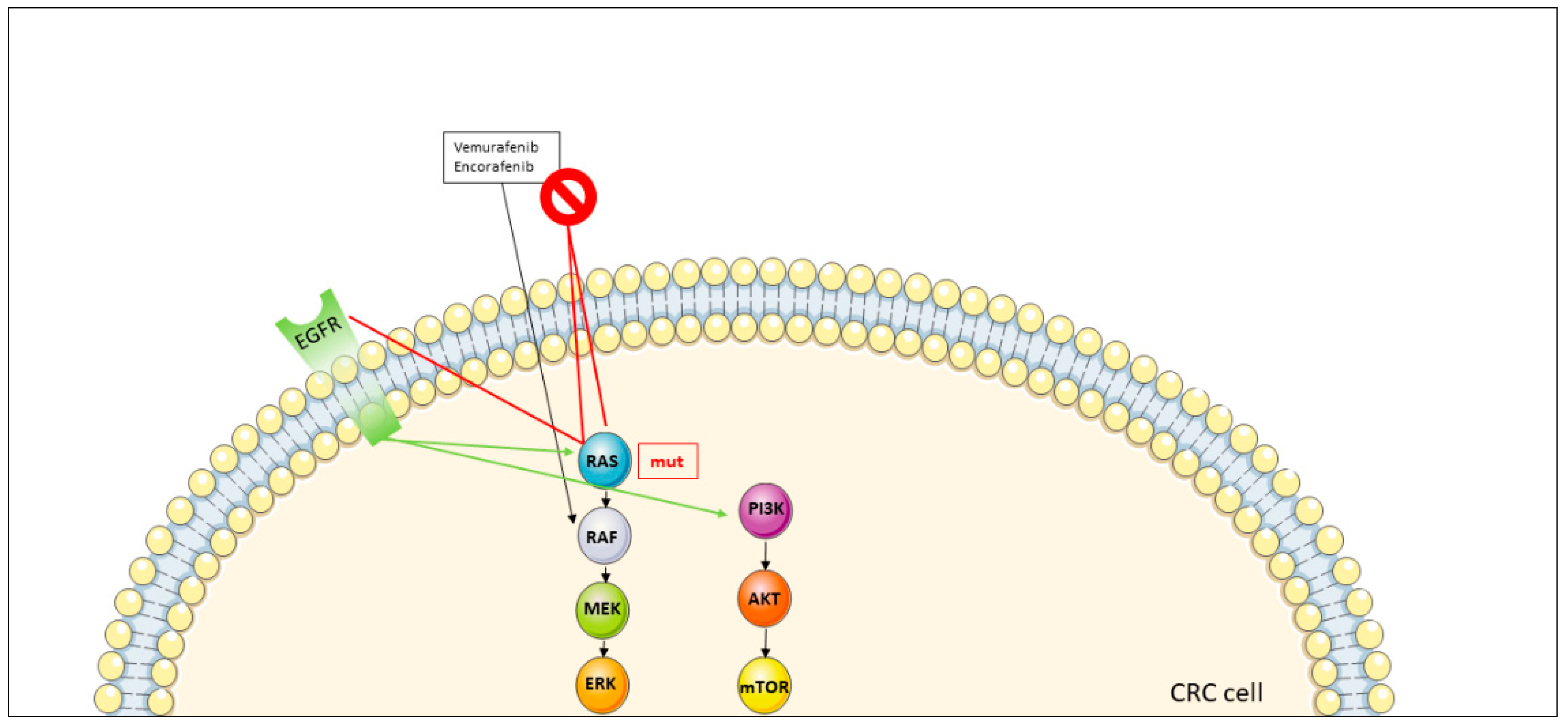 Jcm 11 07523 g004 Jcm 11 07523 g004